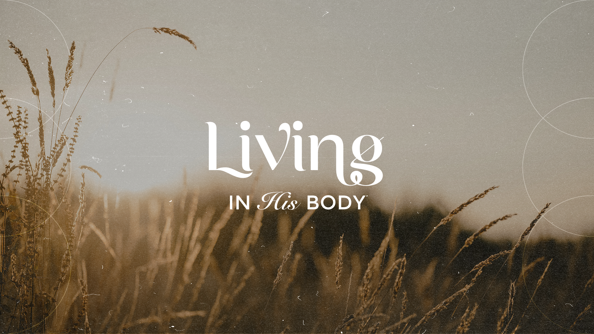 Living in His Body - Sermon Series