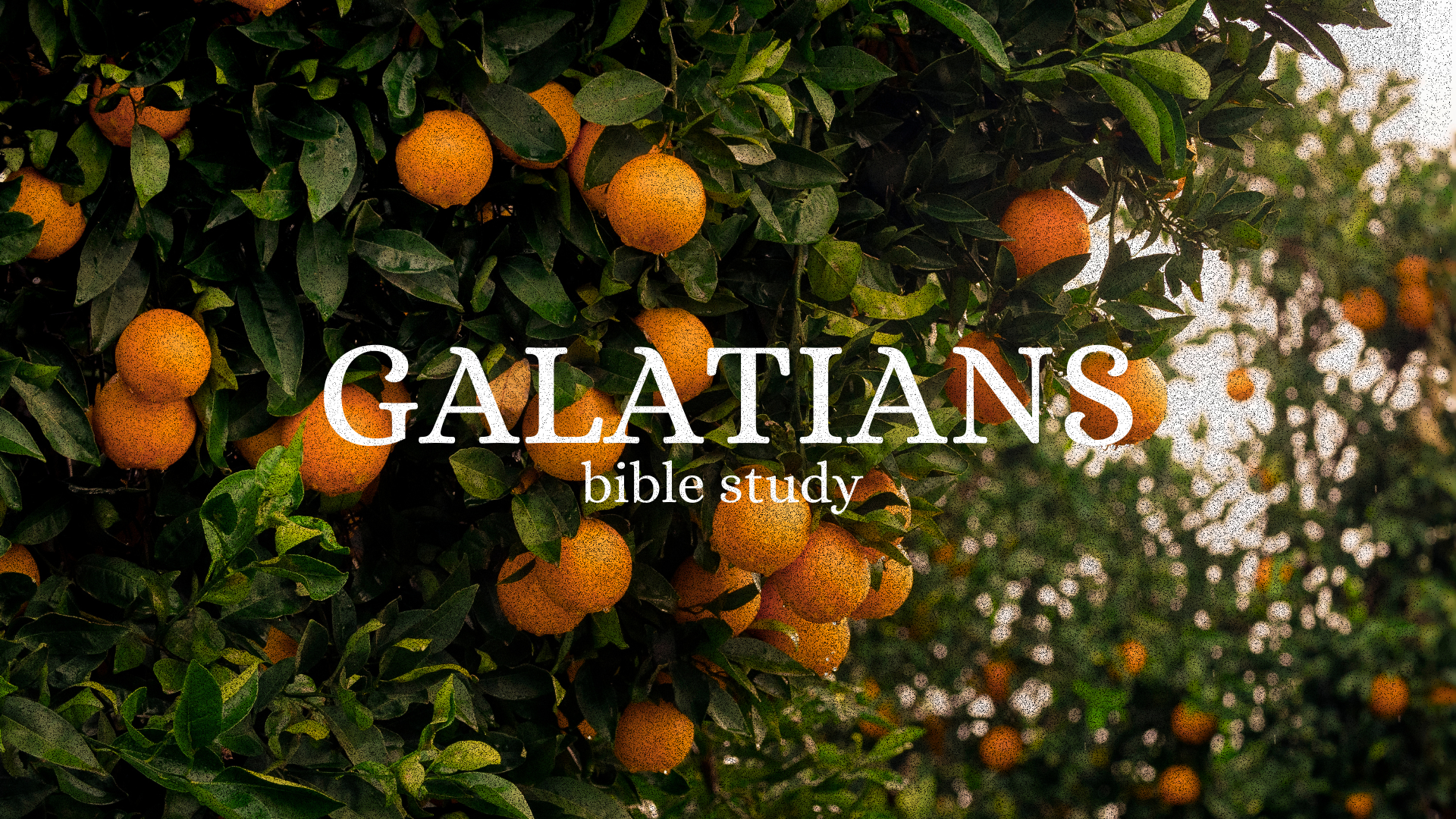Galatians Bible Study