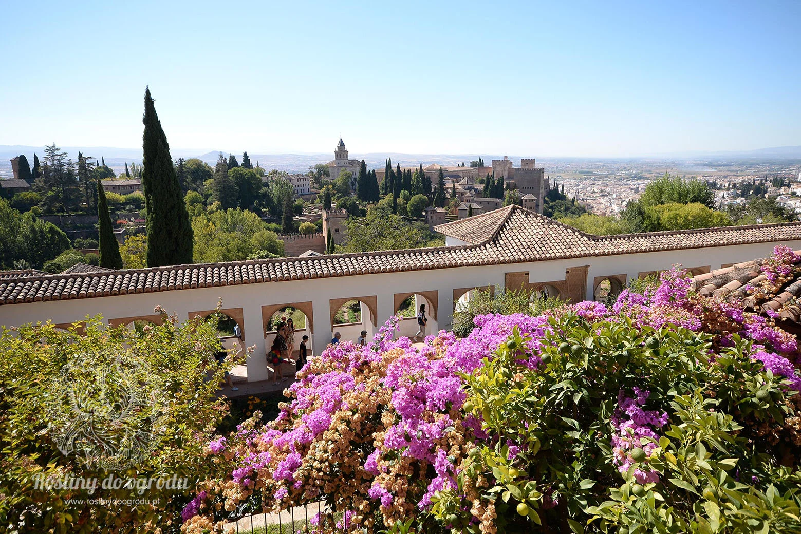 Alhambra_taras.jpg