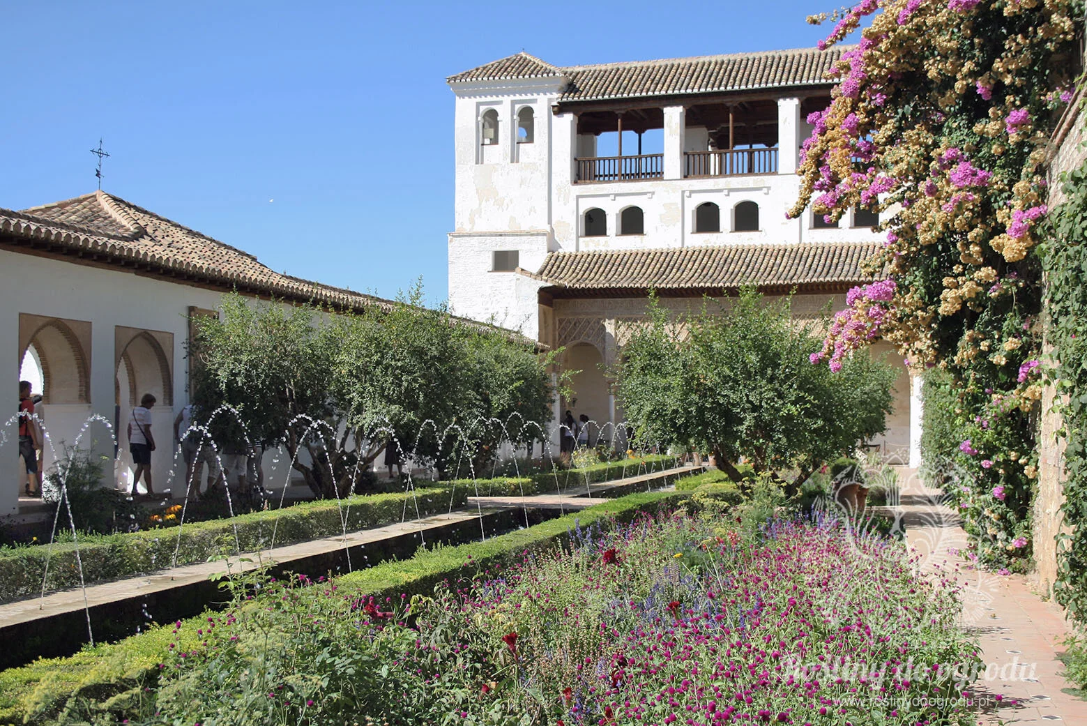 Alhambra_dziedziniec.jpg