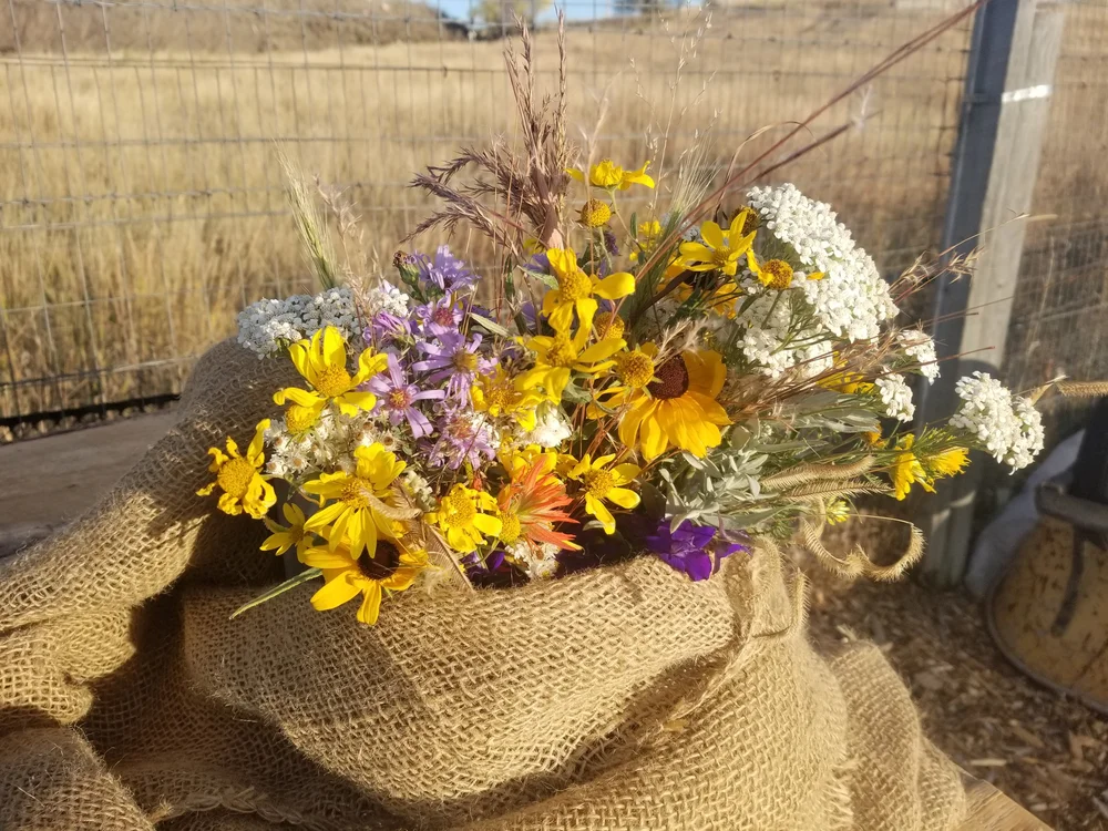 Piney Island Native Plant Nursery