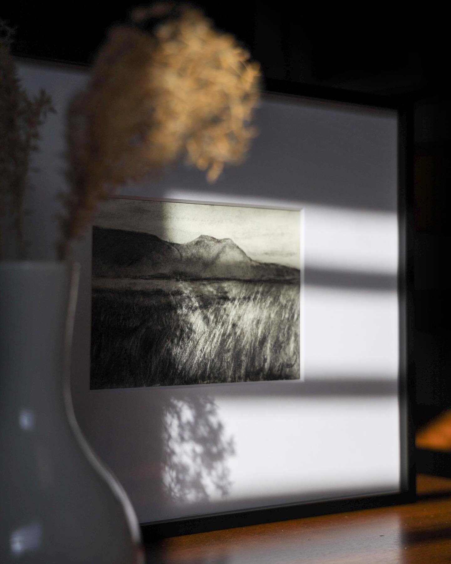 Afternoon light makes everything more magical. ⁣
⁣
I recently framed up the charcoal drawings from the Romantic Grasses collection for an art fair and decided I liked them so much in their frames that I would include them as part of their availabilit