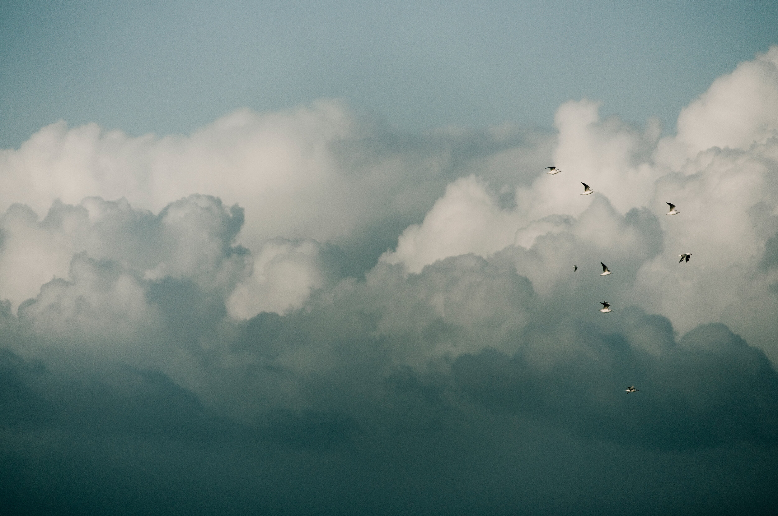 nick-lawrence_cloud_birds.jpg