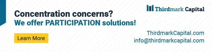 Thirdmark Capital - White 728x180.jpg