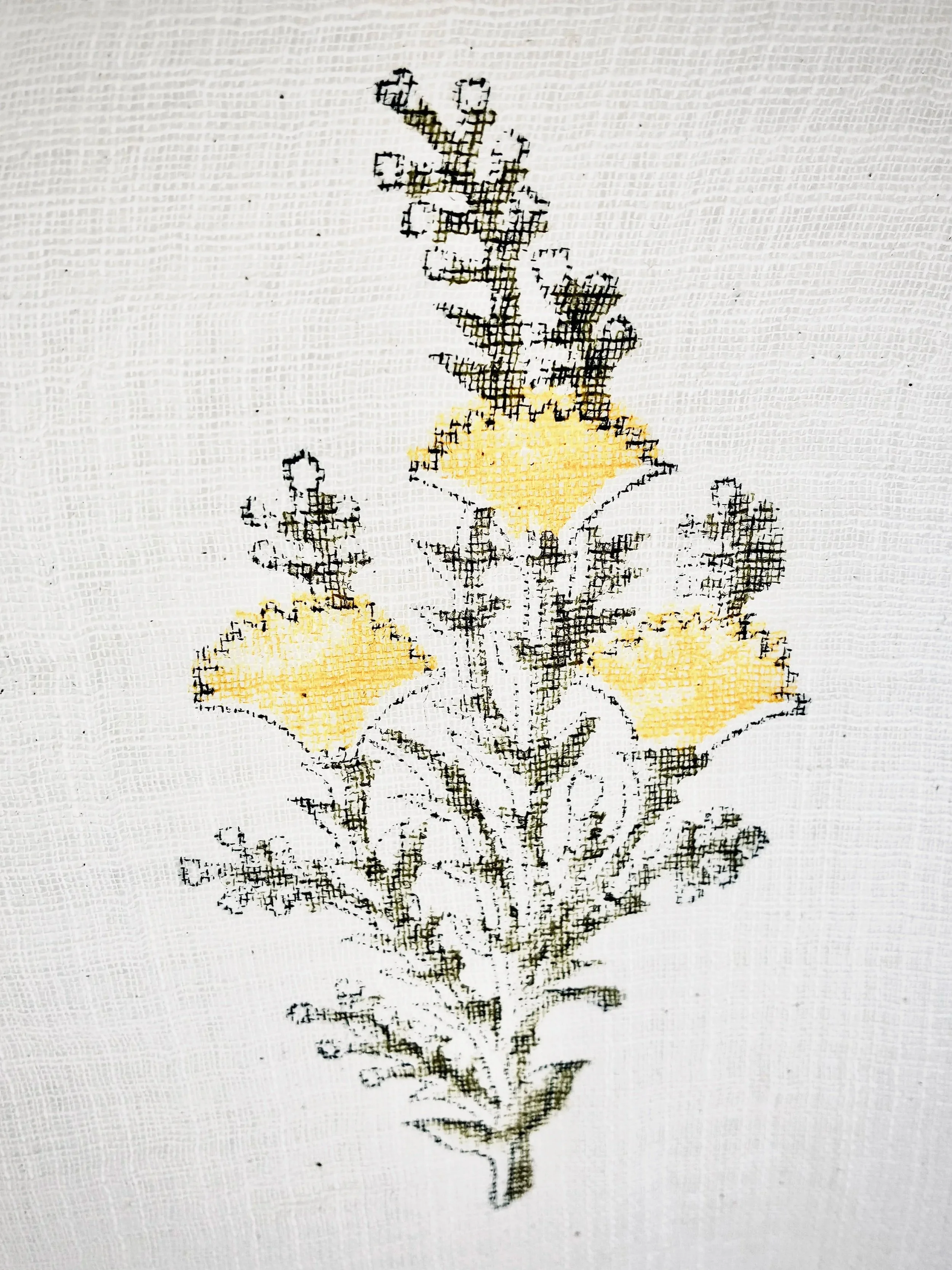yellow+close+up.jpg