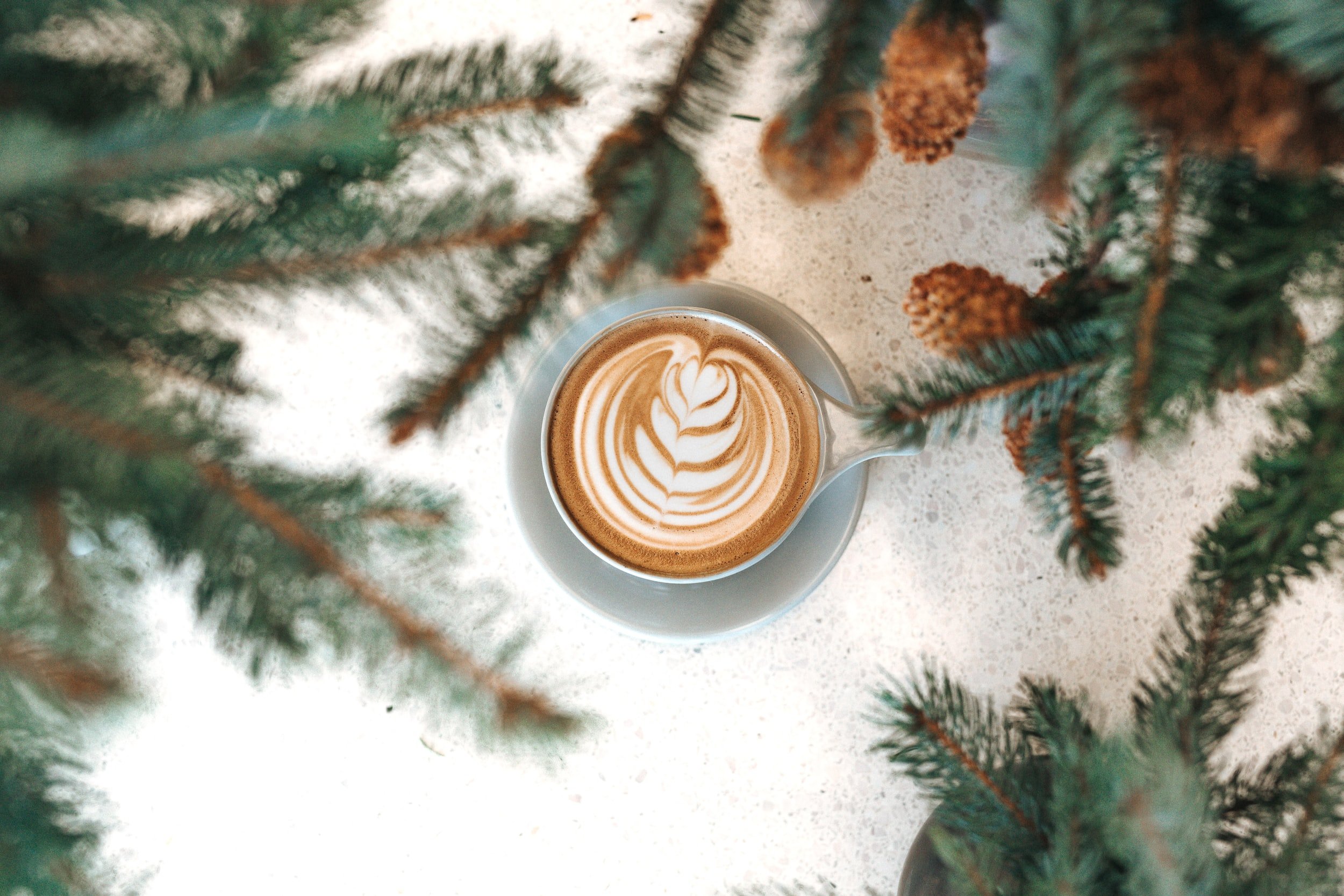 cappuccino with latter art surrounded by pine leaves and pine cones