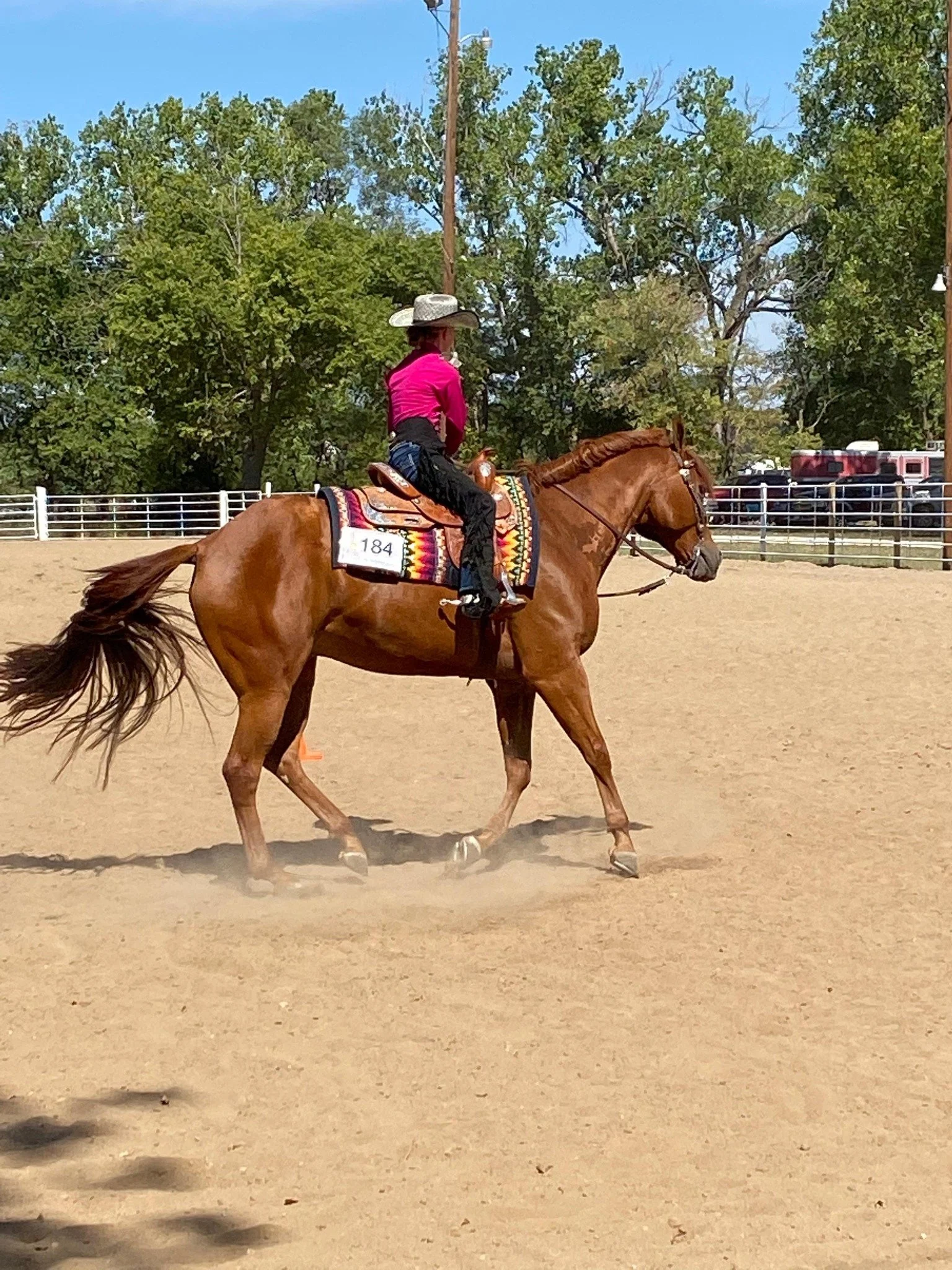 Open Show - Cancelled