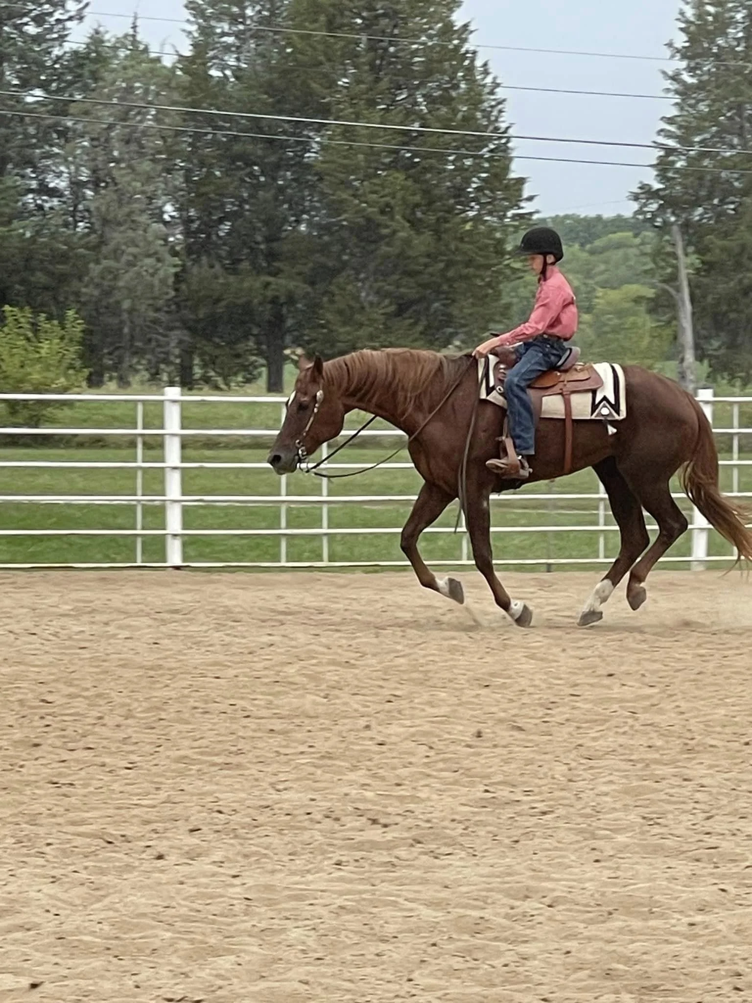 Salt Creek Wranglers Open Show - CANCELLED