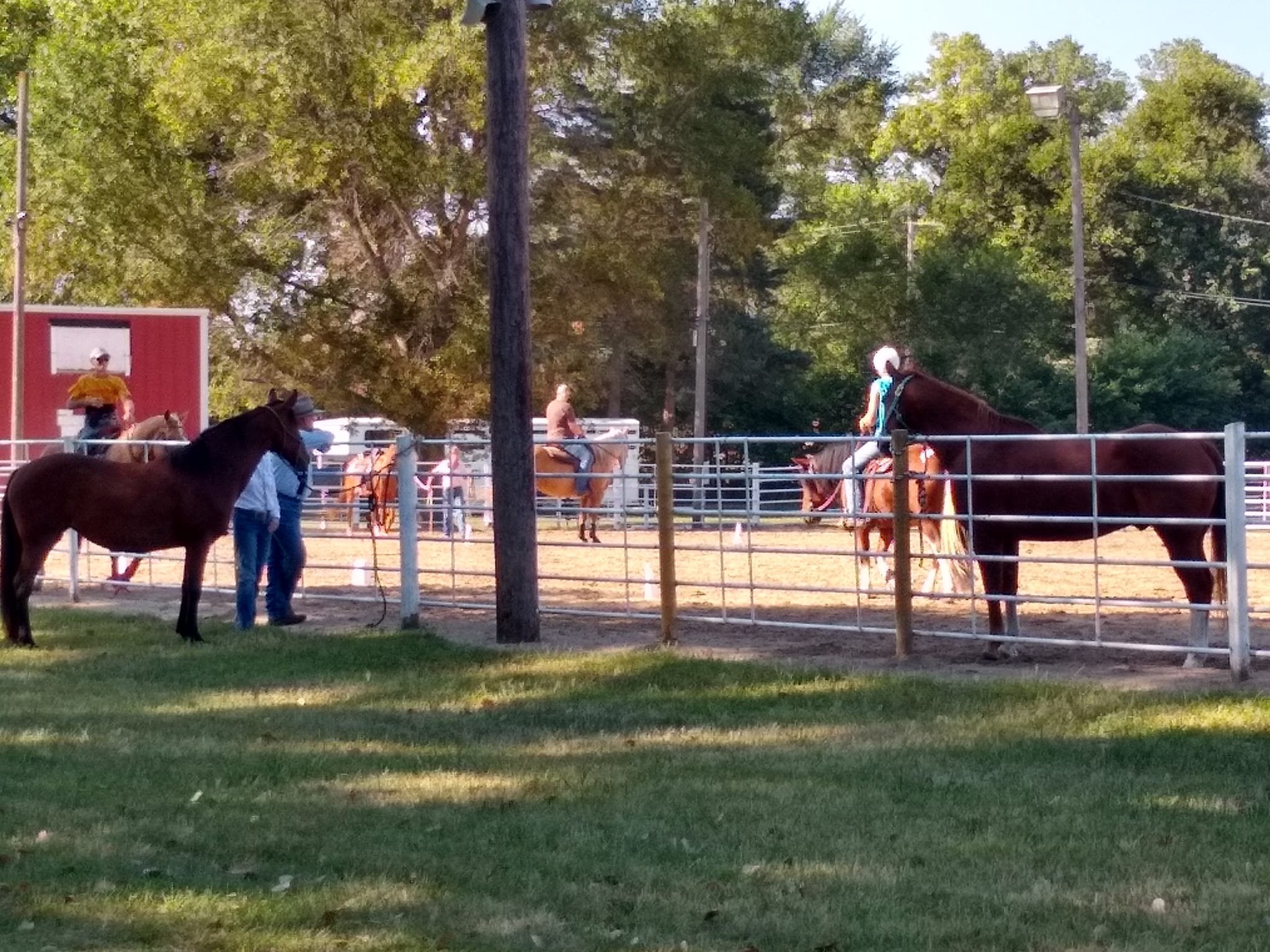 Nebraska Cowboy Dressage Ring Practice