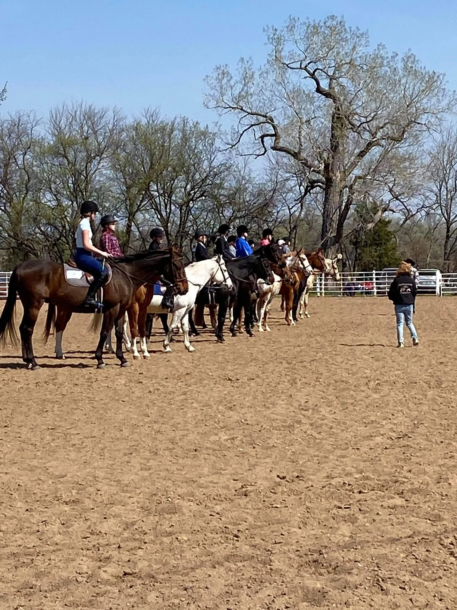 SCW Shaggy Horse Show