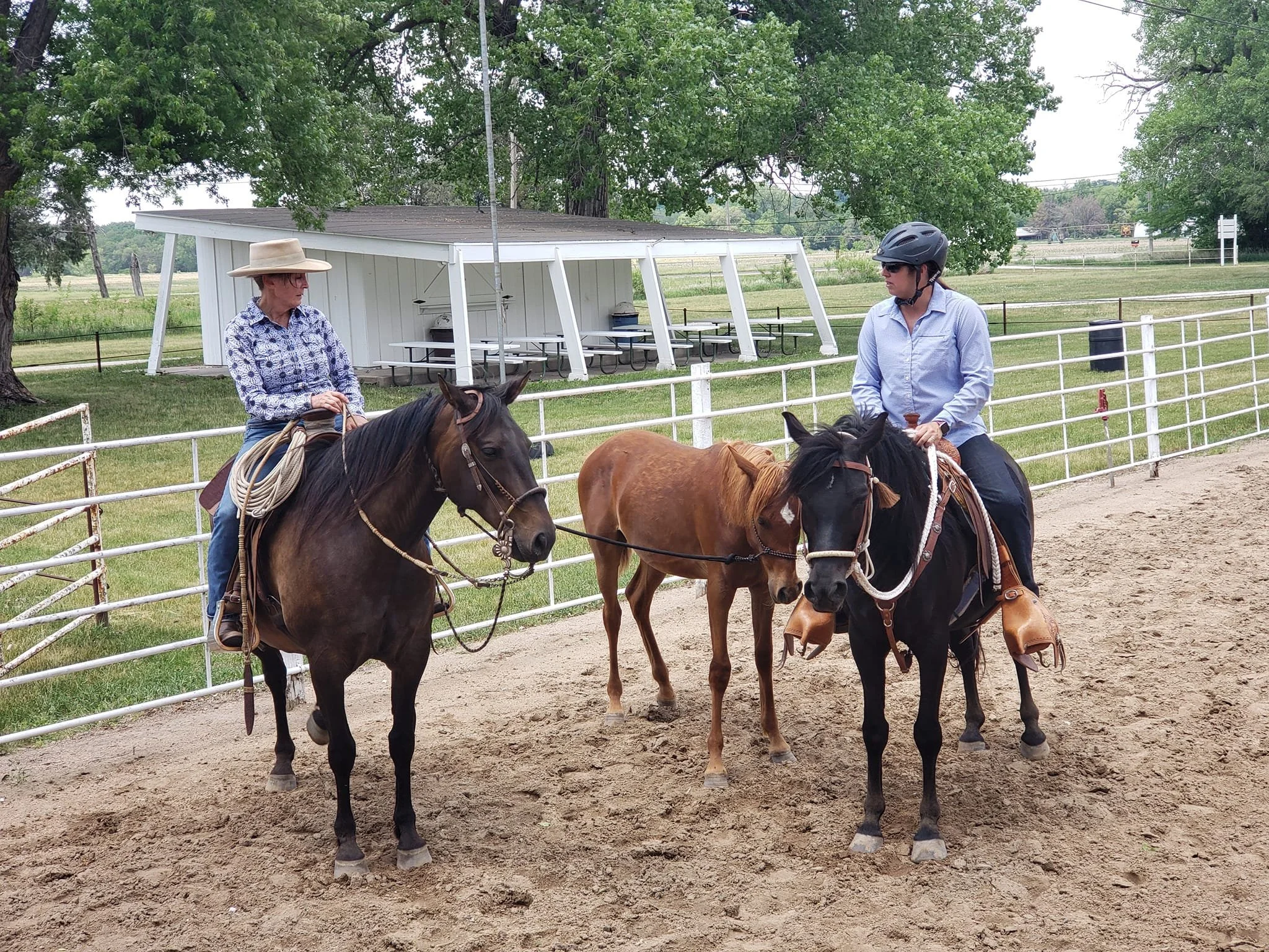 ARENA RESERVED - Nebraska Cowboy Dressage