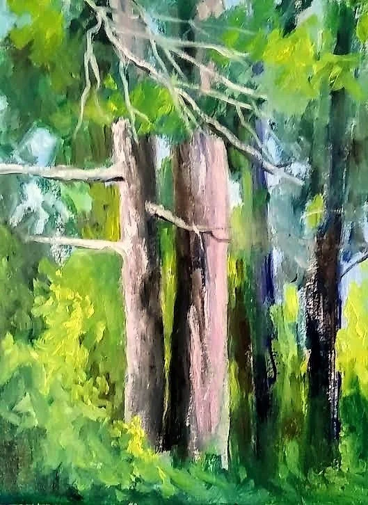 Trees #1 12 x 9 inches, oil on board. ©Ann Scott 2025