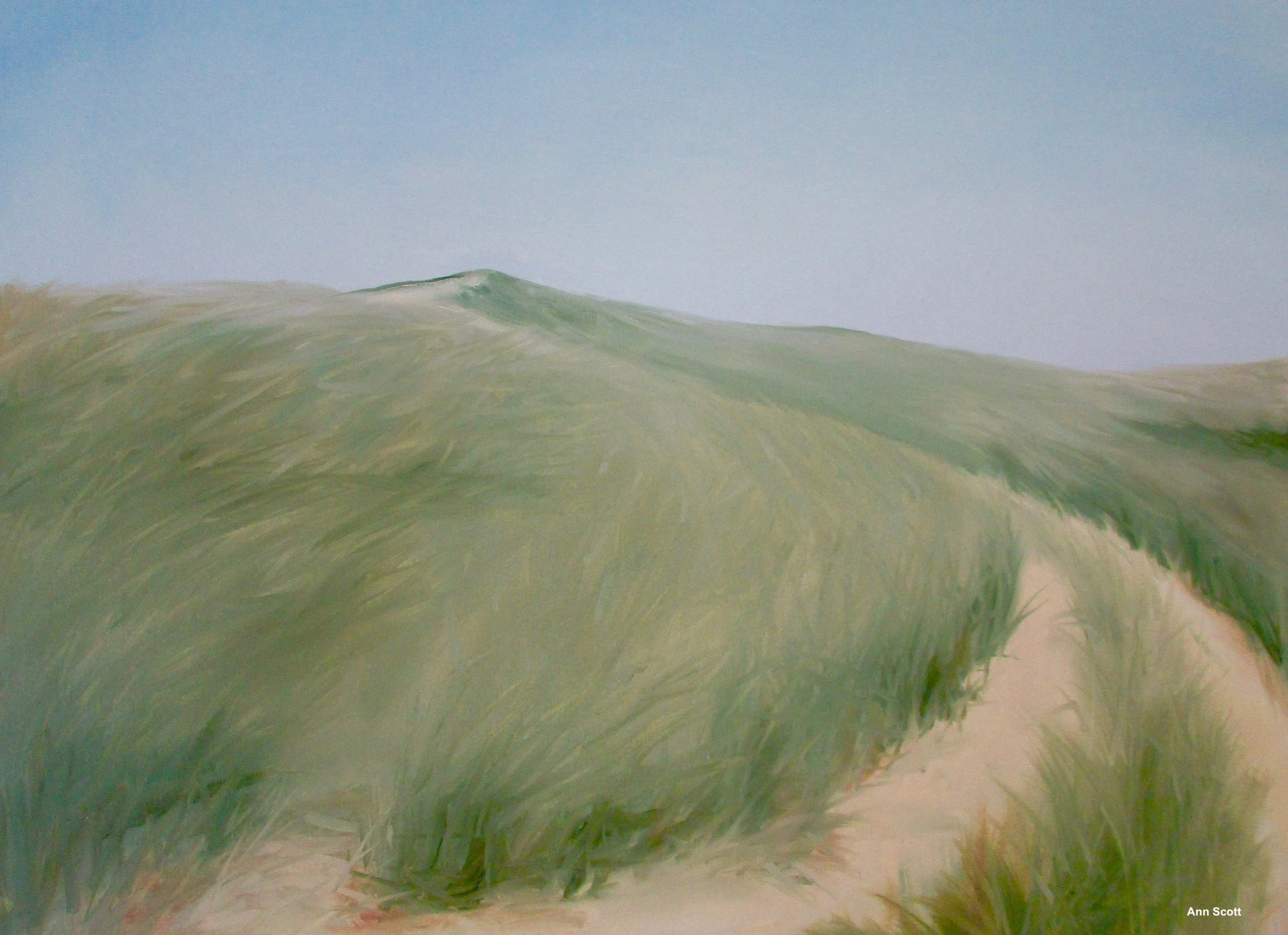Dune Path, 24 x 30 inch, oil. ©Ann Scott 2015