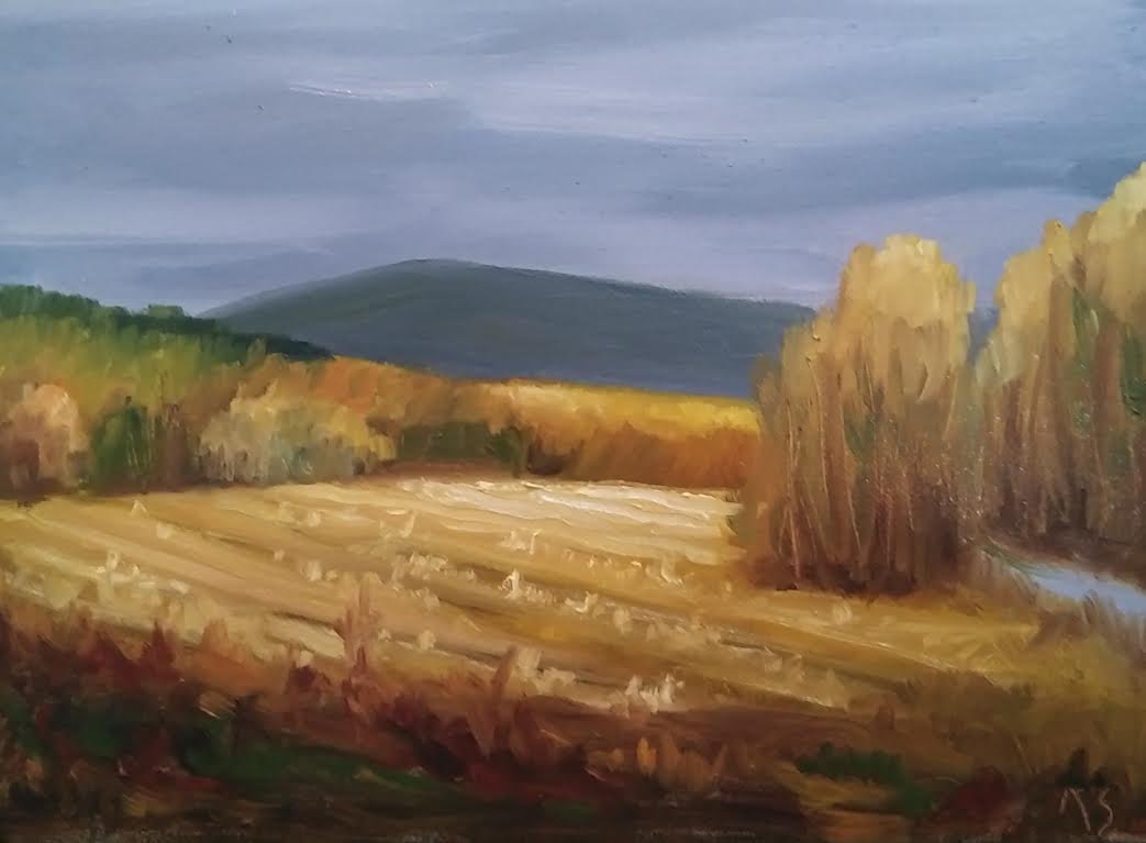 Late Afternoon, 12 x 16 inch, oil. ©Ann Scott 2024