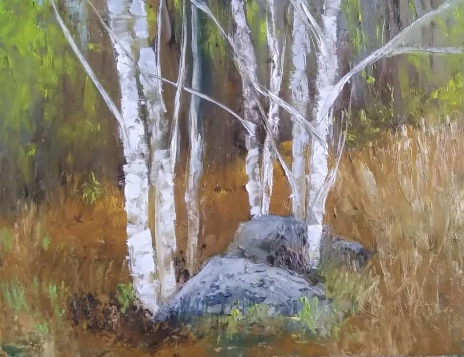 Birches 1, 9 x 12 inch, oil. ©Ann Scott 2025