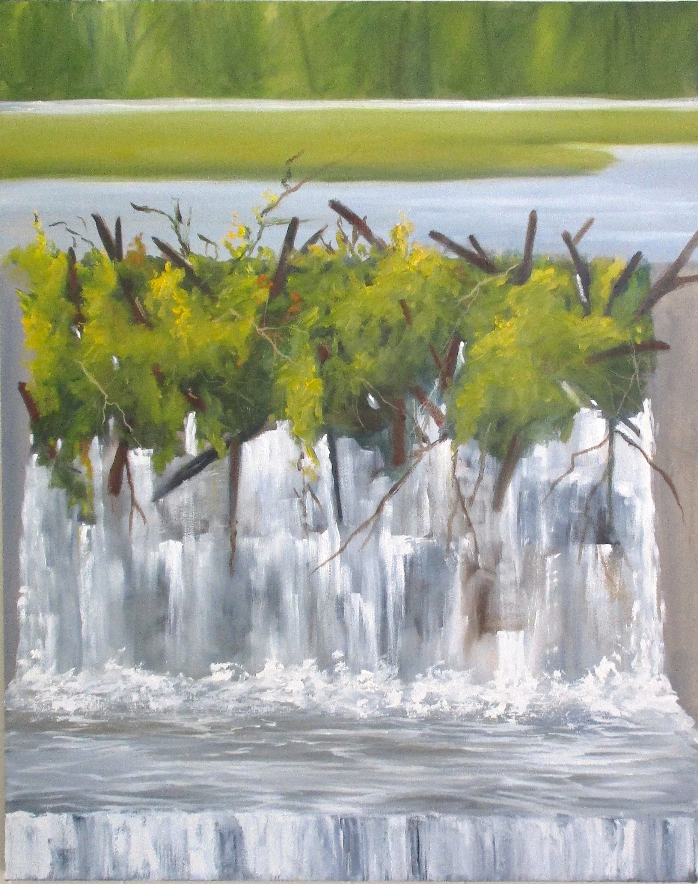 Bog Pond Summer, 30 x 24 in, oil. ©Ann Scott
