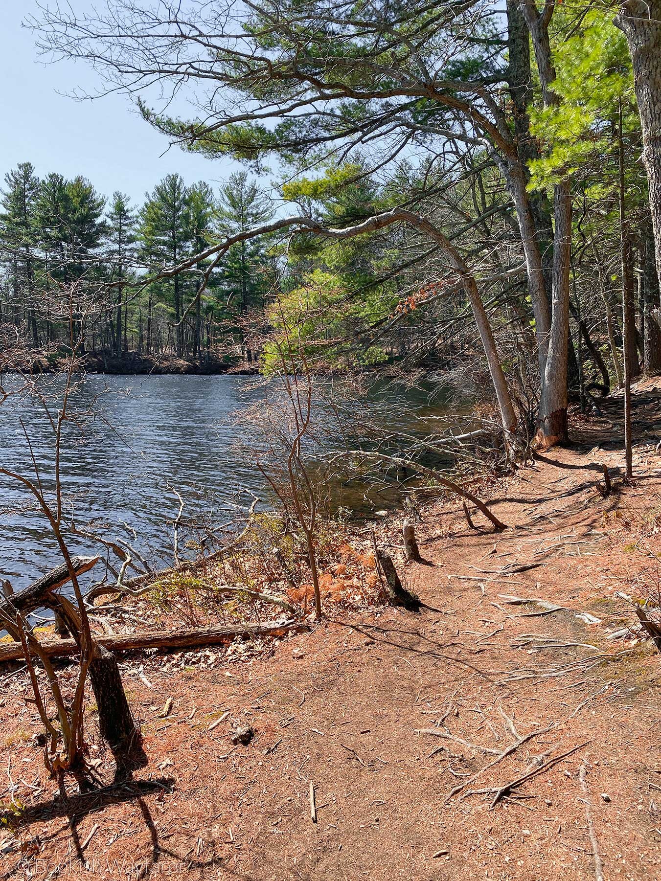 View of Ashland Reservoir from trail