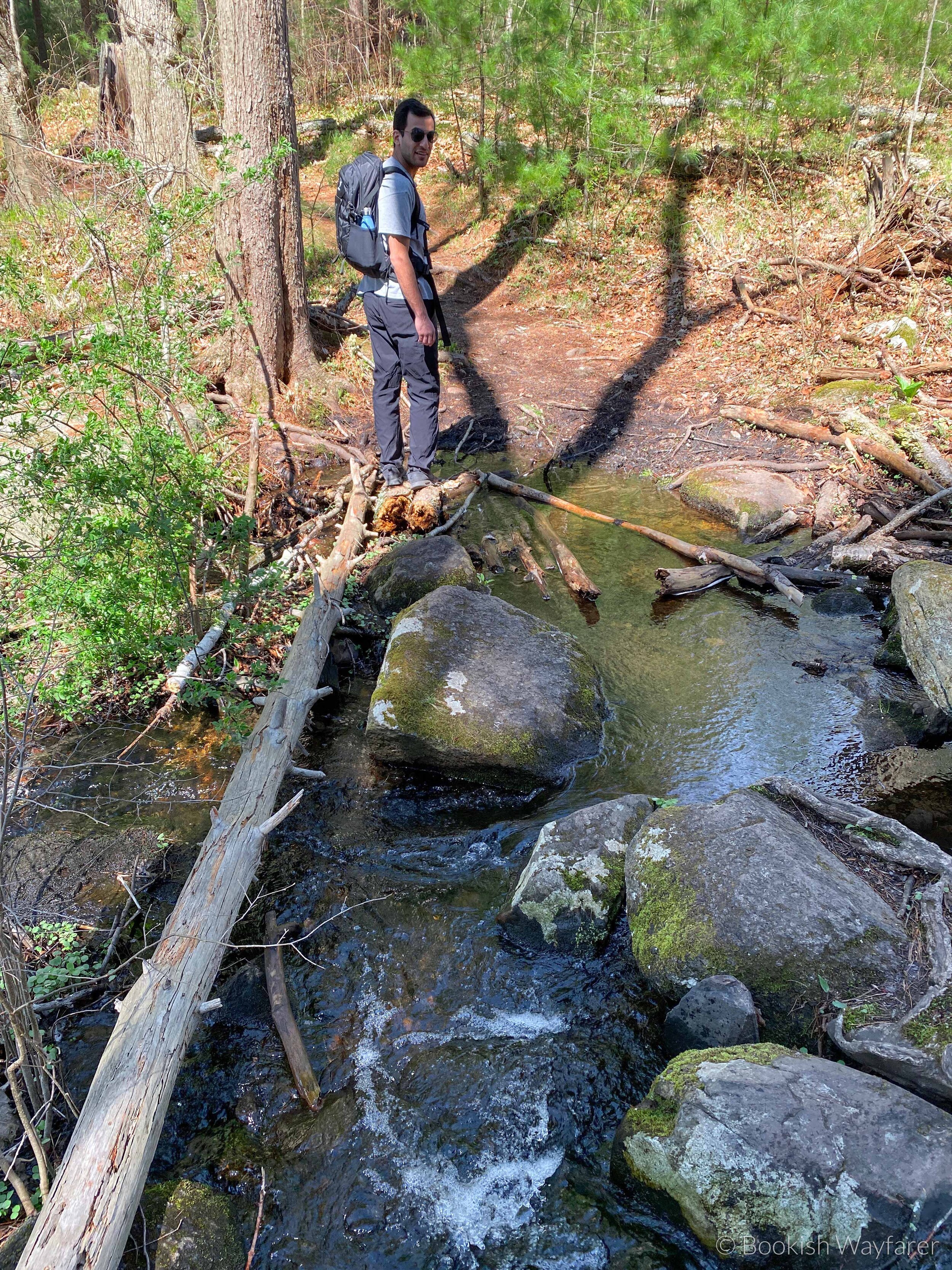 Stream crossing on Whitehall Reservoir Loop