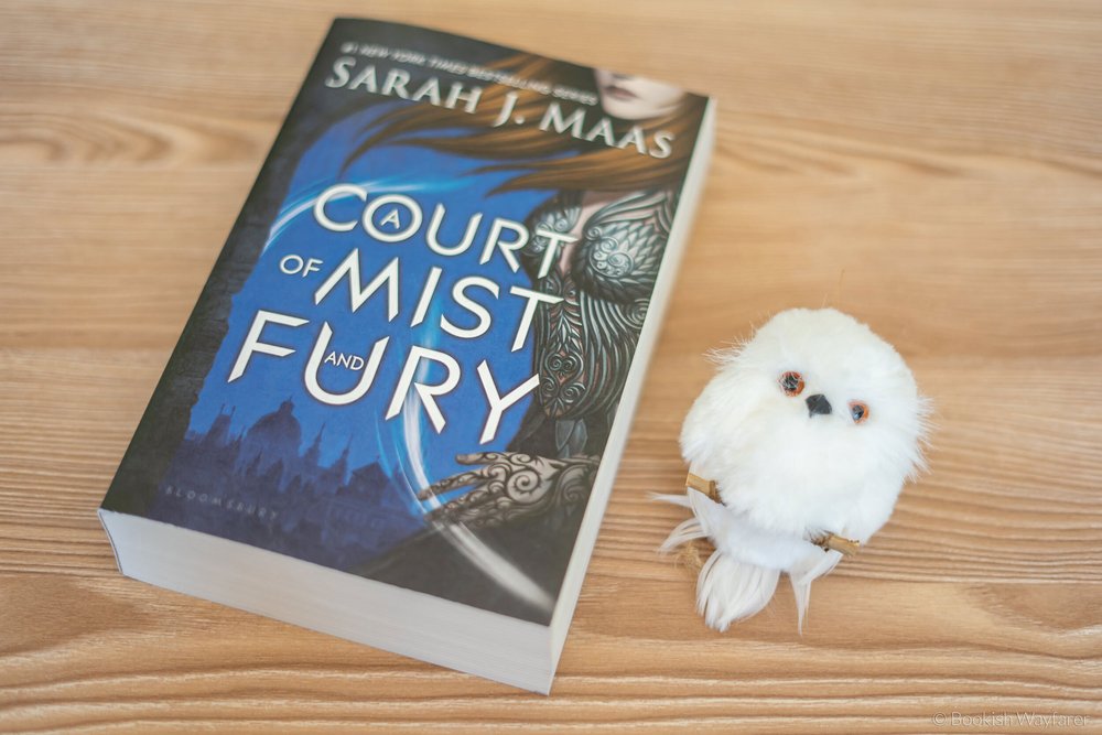 Review A Court of Mist and Fury by Sarah J