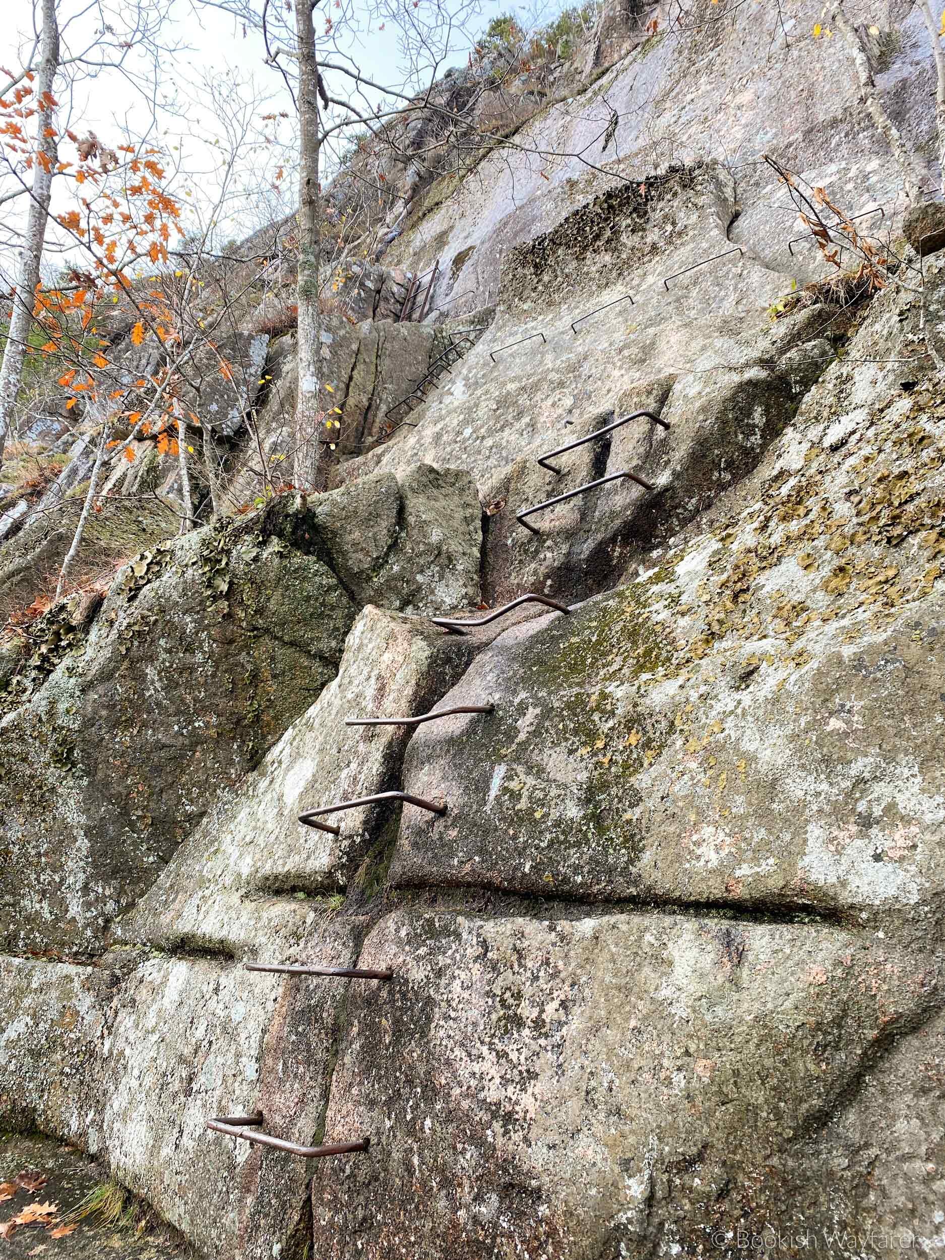 precipice-trail-ladders