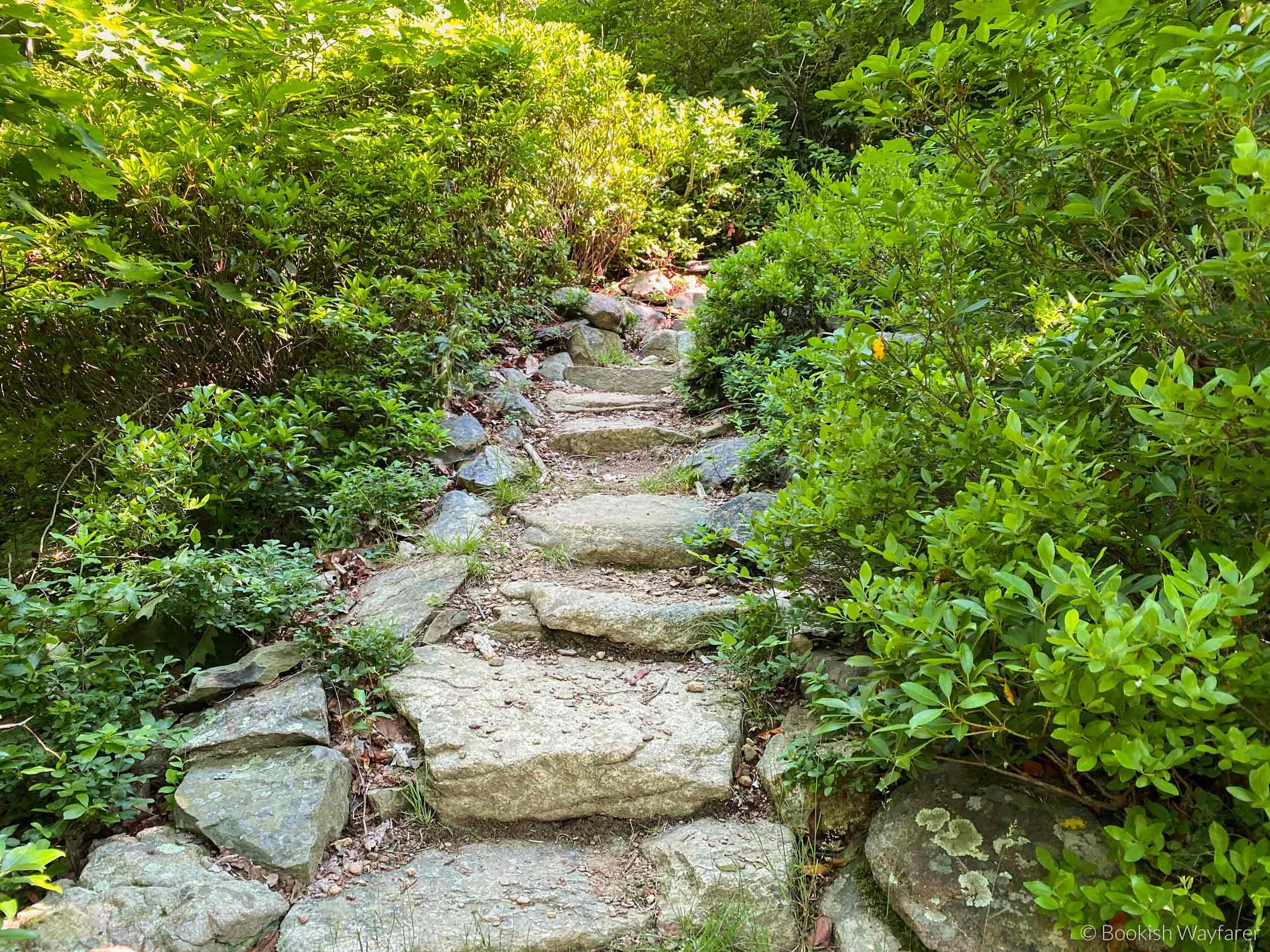 shenandoah-compton-peak-rock-path.jpg