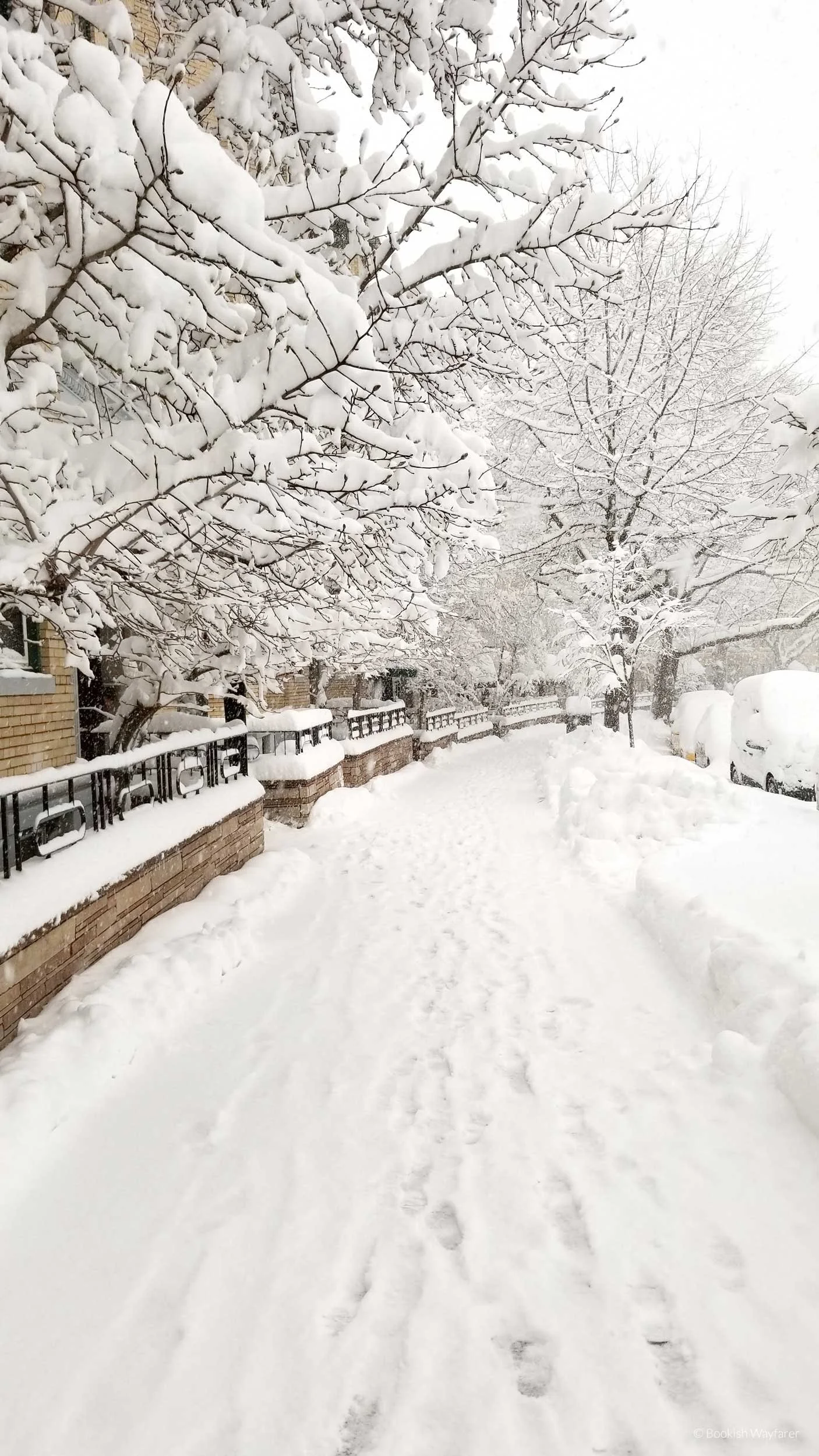 A snow-covered sidewalk in Boston