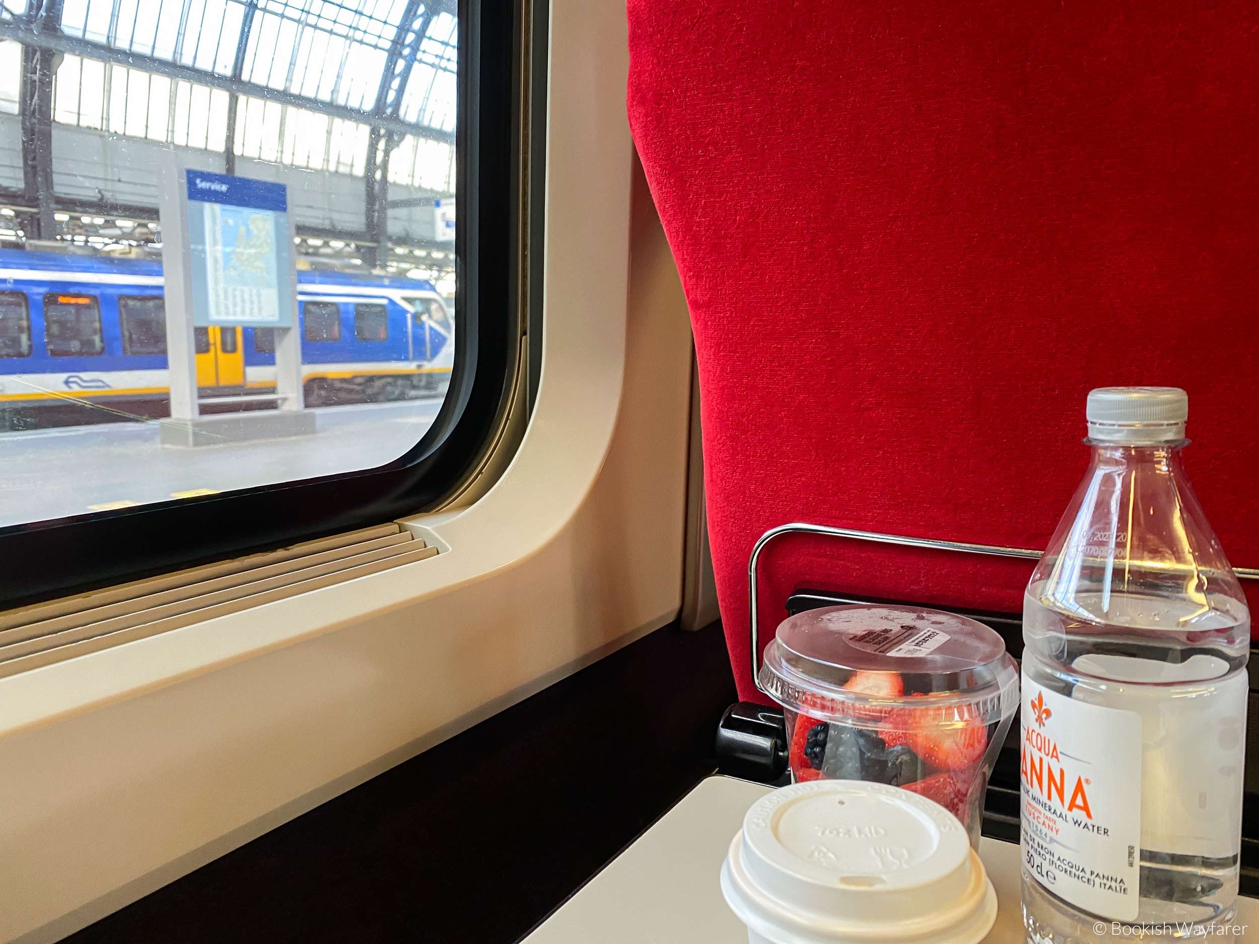 Symfonie Belastingen meditatie How to Travel by High-Speed Train from Amsterdam to Paris — Bookish Wayfarer