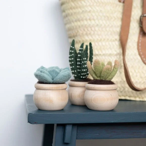 Felted Sky succulent needle felting kit