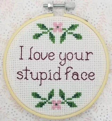 "I love your stupid face" completed cross stitch