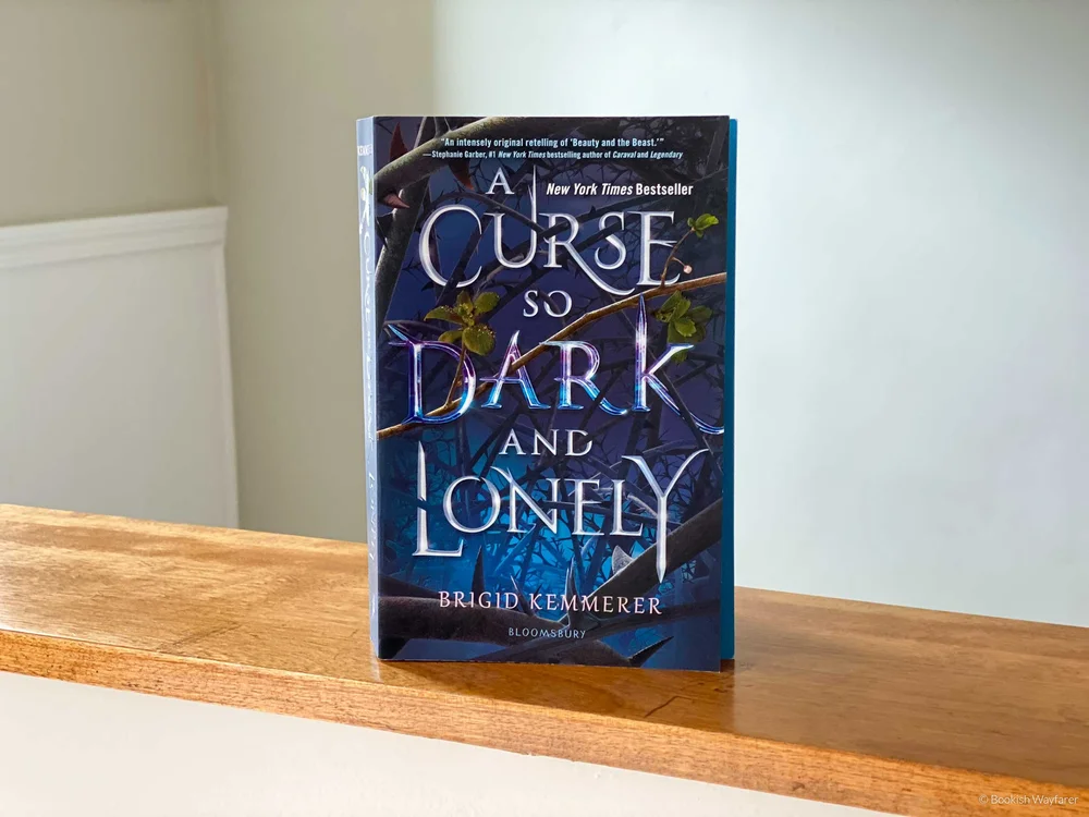 Review A Curse So Dark and Lonely by Brigid Kemmerer — Bookish Wayfarer