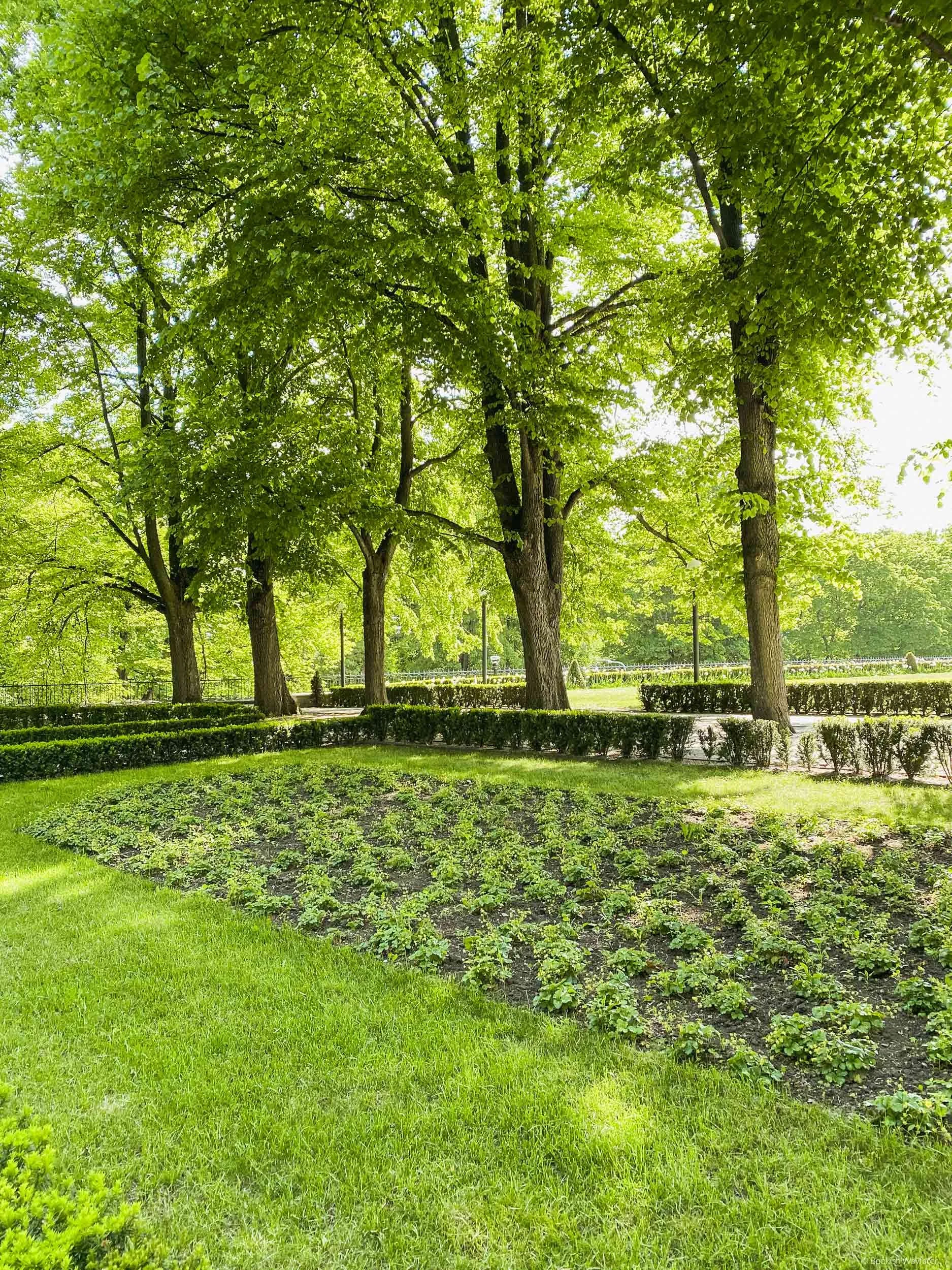 Governor's Garden in Tallinn