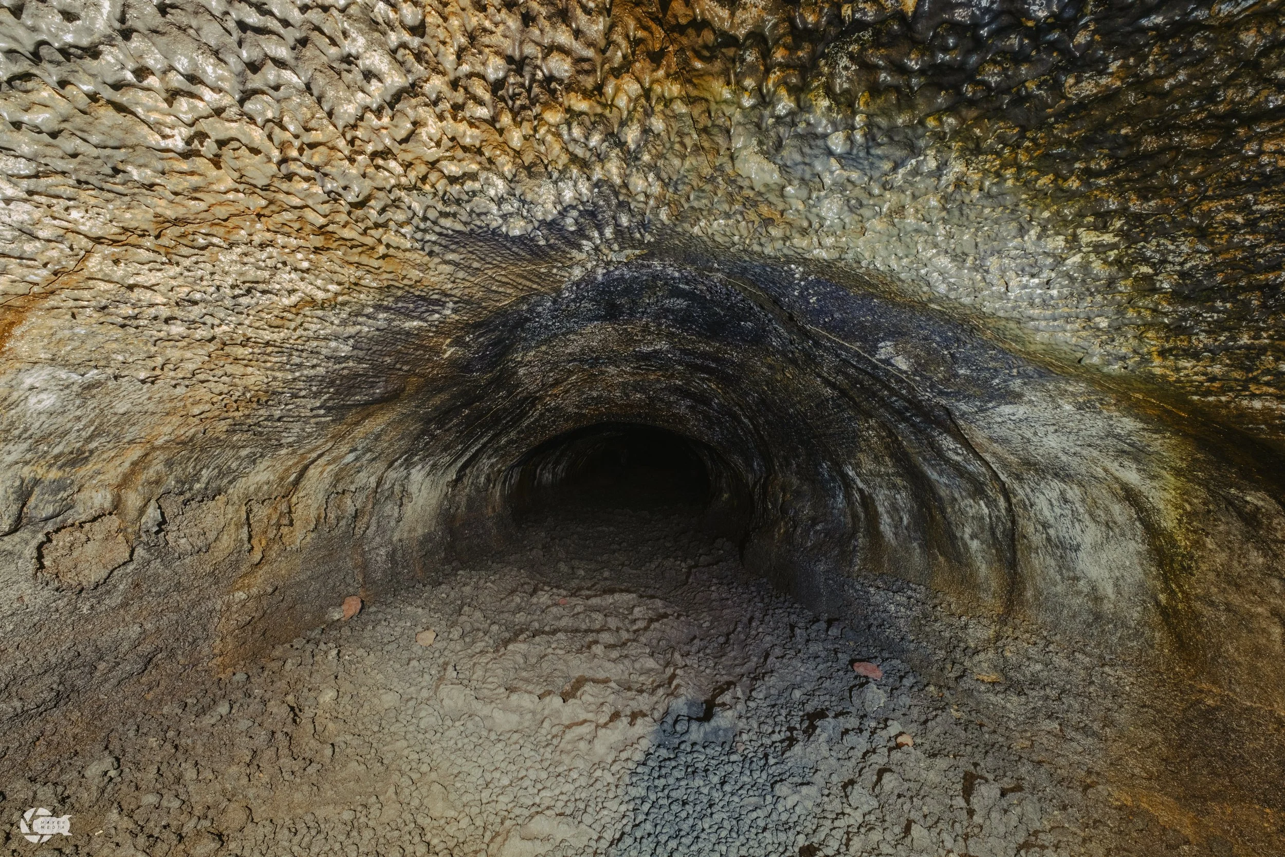 _DSF7046.jpg