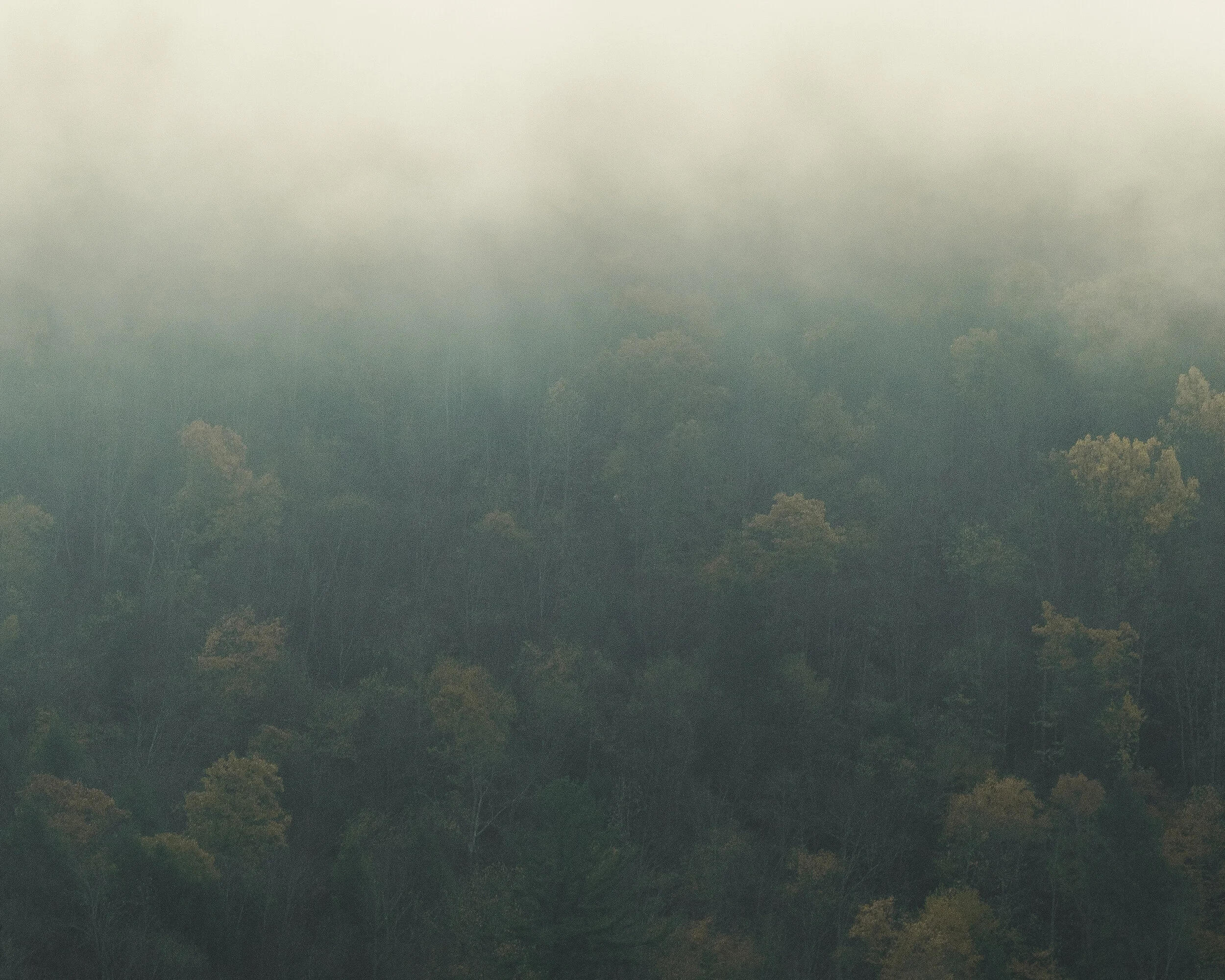 Elk State Forest
