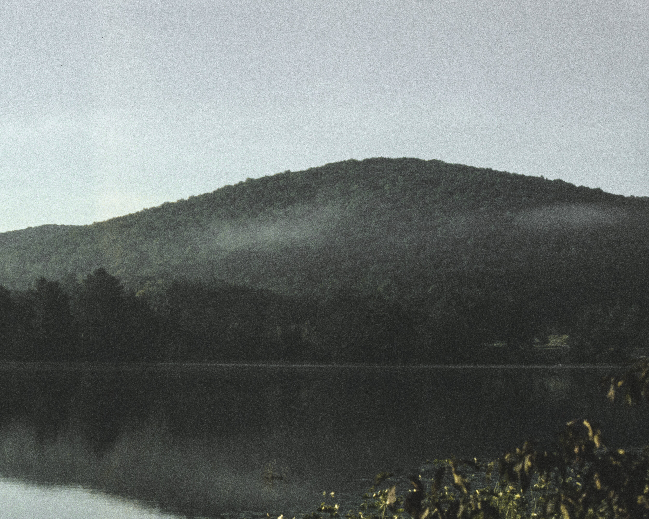 Allegheny State Forest 