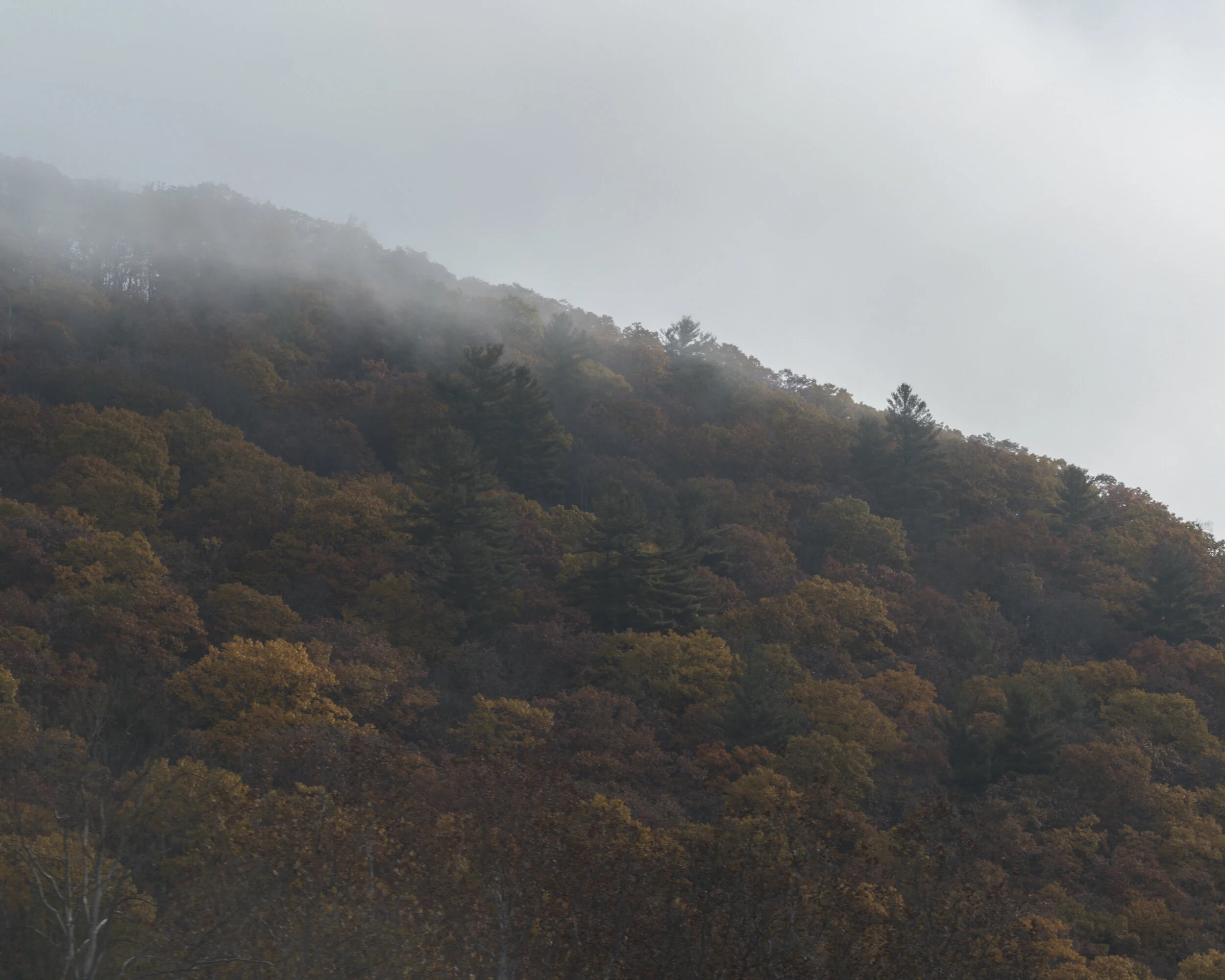 Elk State Forest