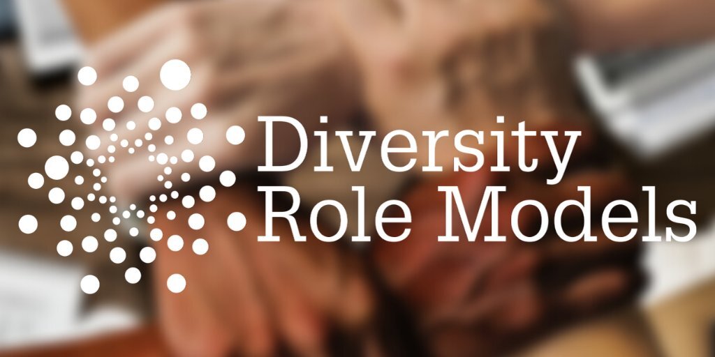 Diversity Role Models