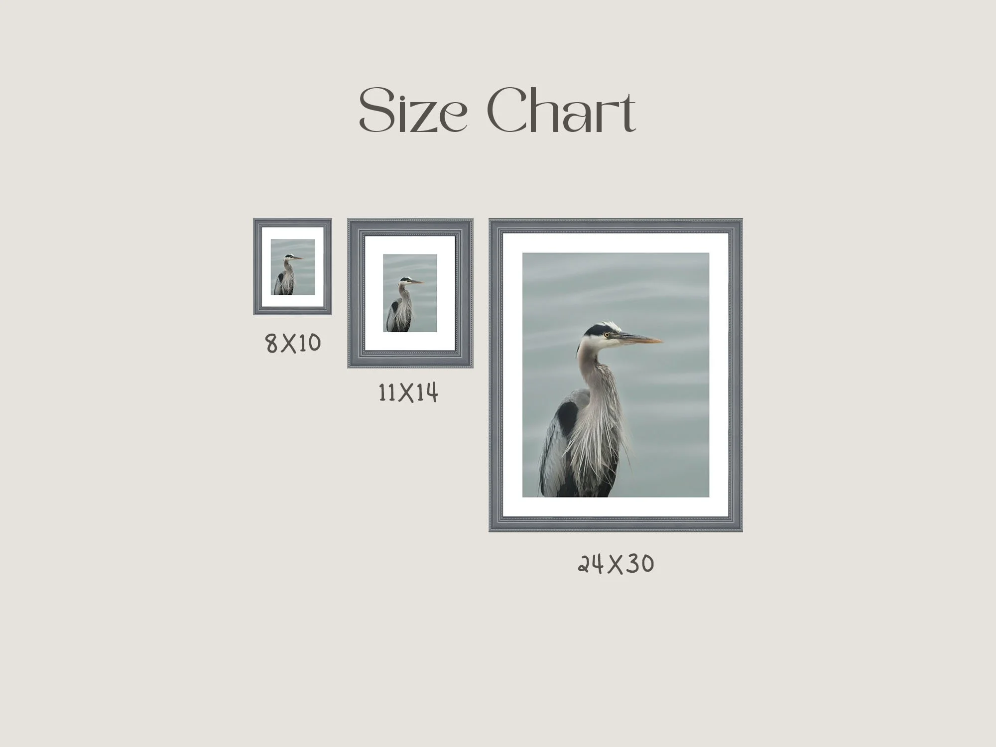 heron.jpg