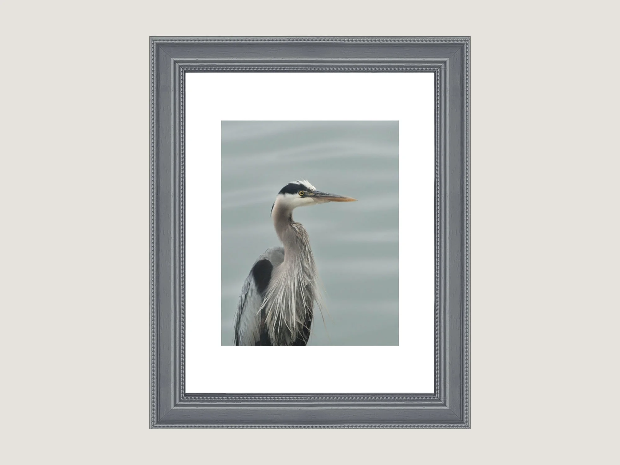 blue-heron.jpg