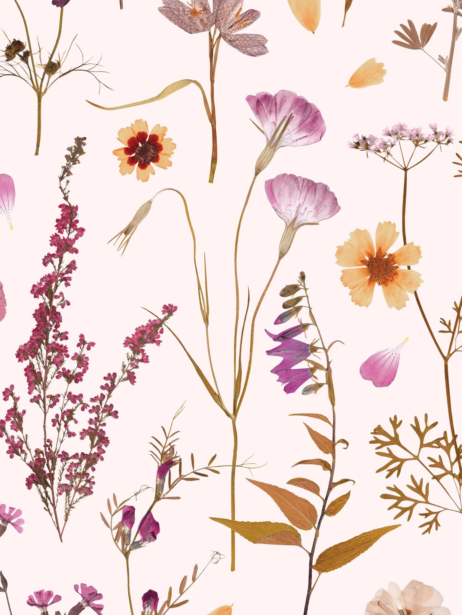 PressedFlowerWallpaperYellowandPink_1024x1024@2x.jpeg
