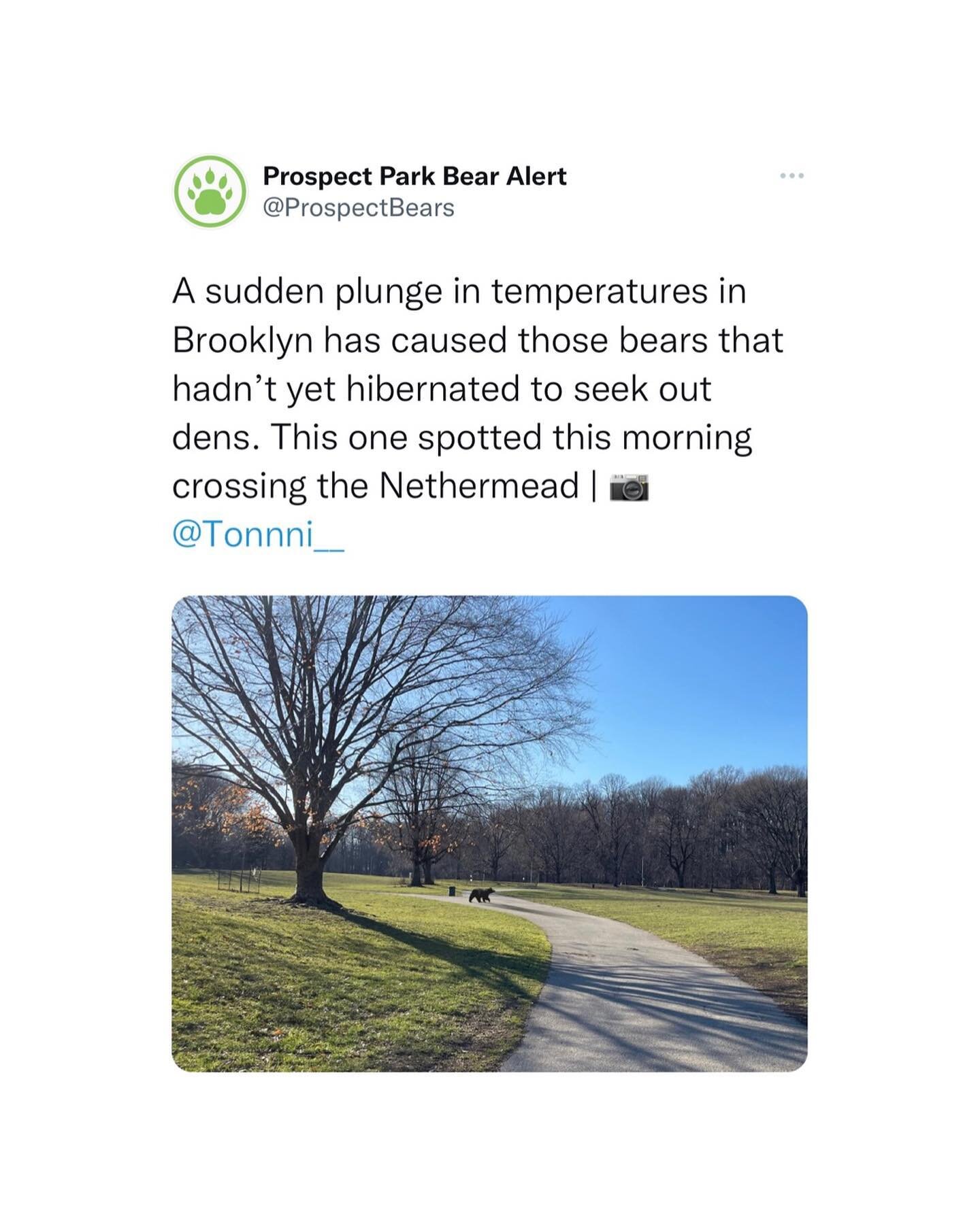 Repost from @prospectbears Twitter | February 3rd, 2023