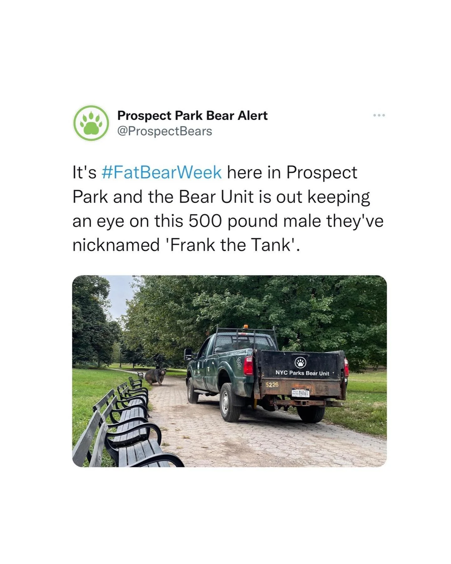 Repost from @prospectbears Twitter #fatbearweek | October 10th, 2022