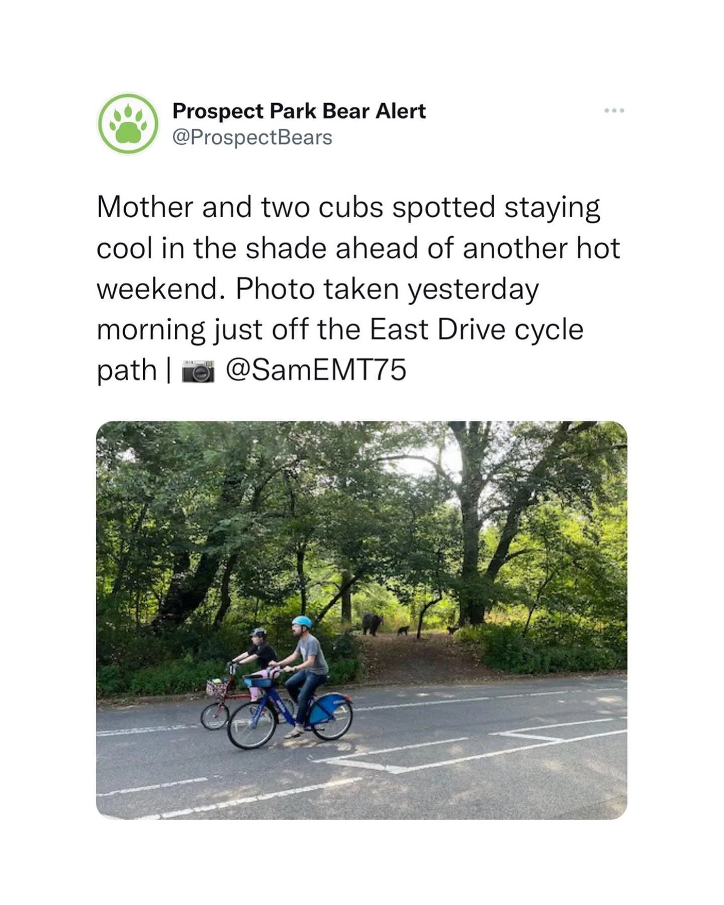 Repost from @prospectbears Twitter | August 12th, 2022