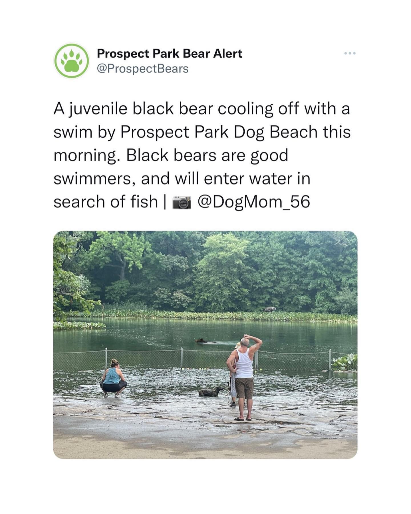 Repost from @prospectbears Twitter | July 25th, 2022