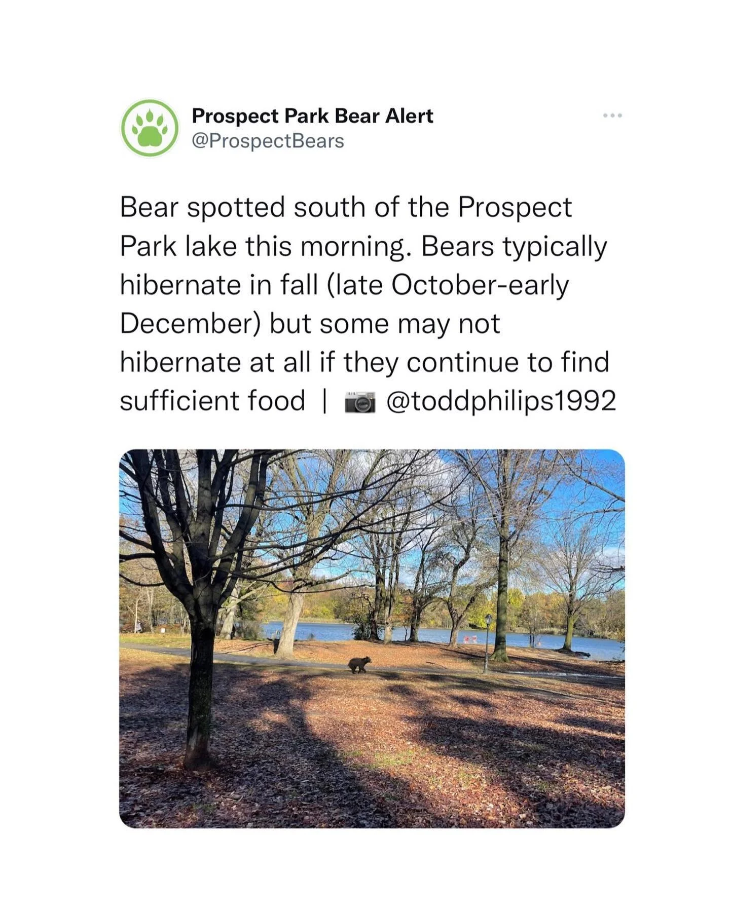 Repost from @prospectbears Twitter | December 4th, 2022