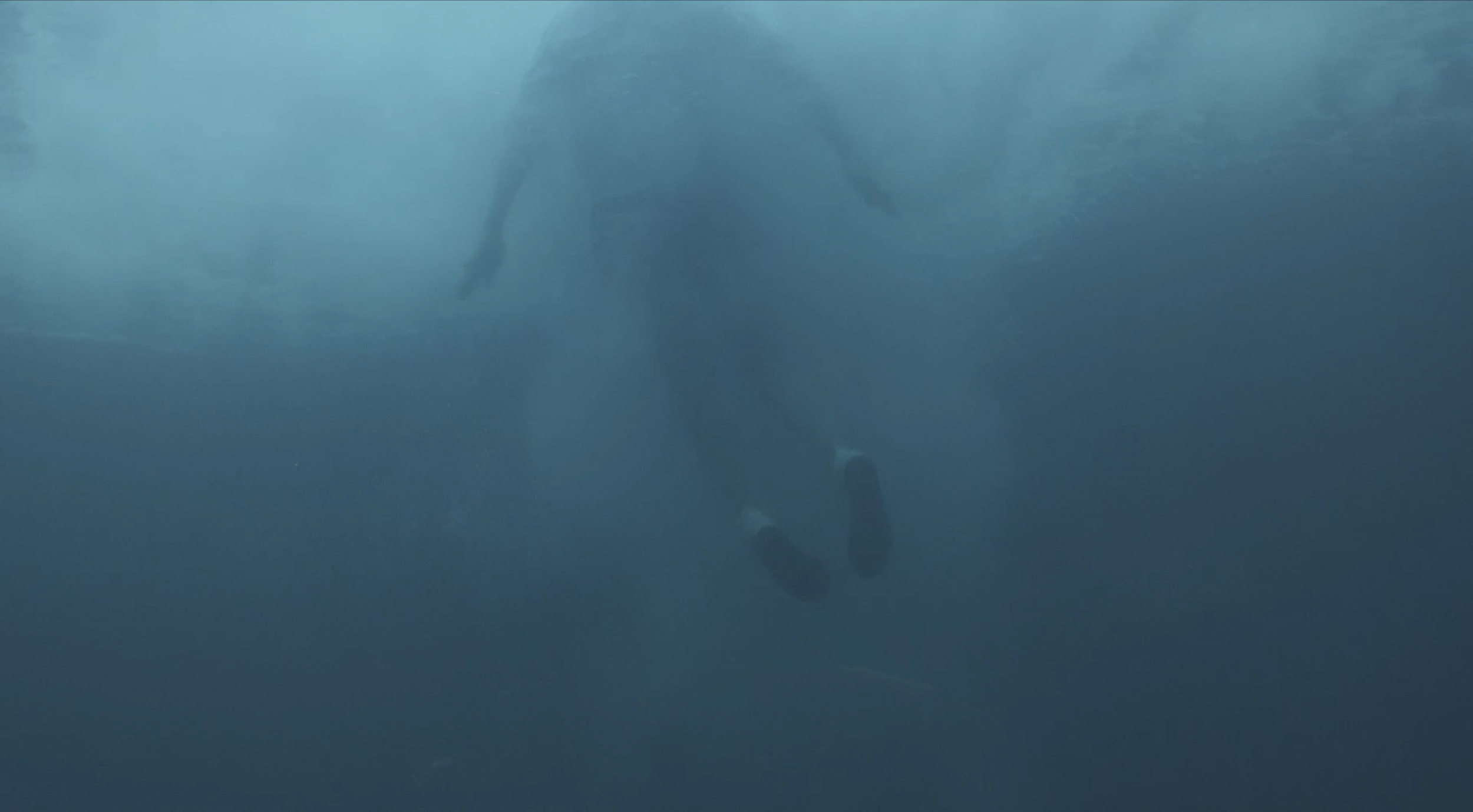The Leap