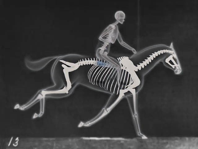 Horse13.png