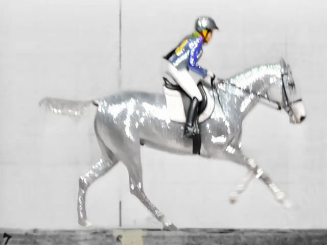 Horse07.png