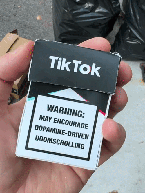 TikTok 1.gif
