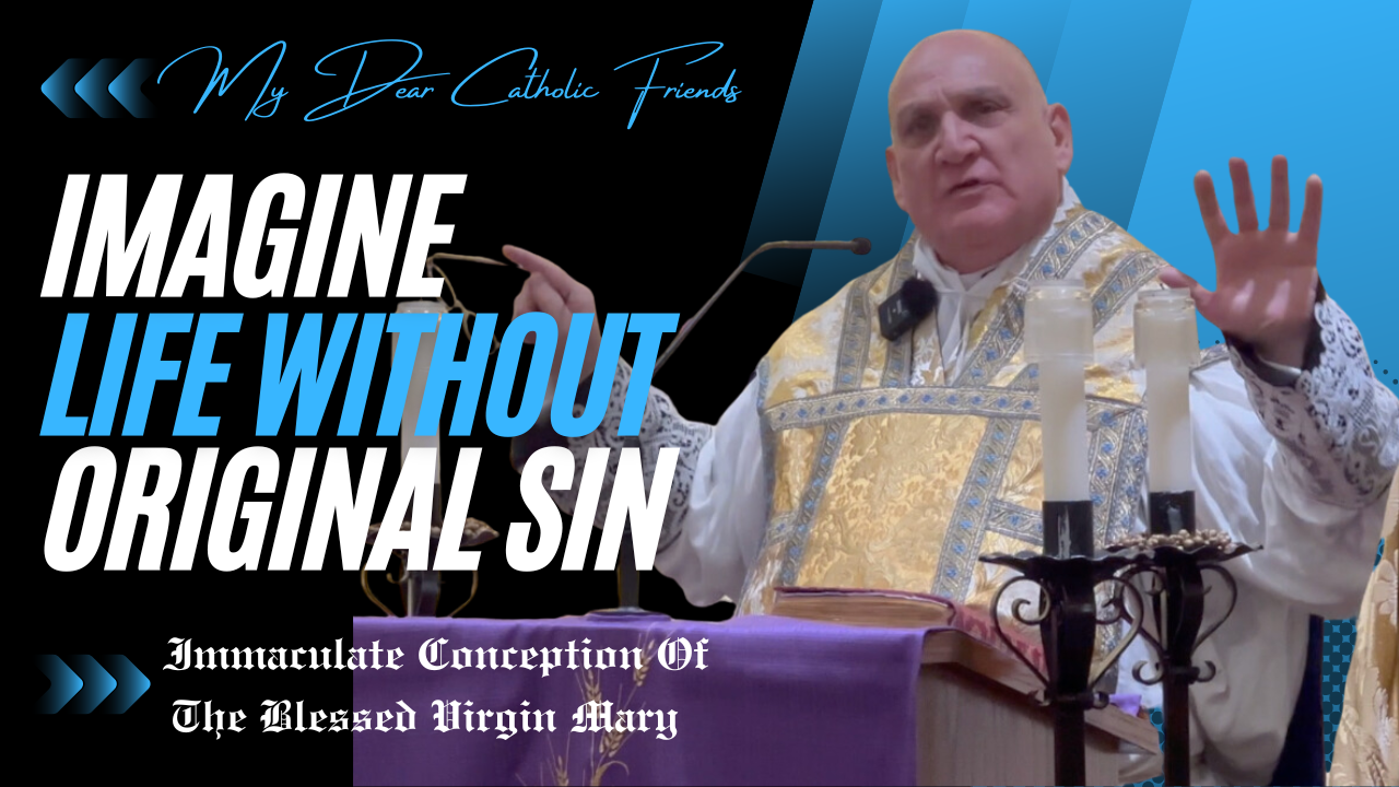 Immaculate Conception Of The BVM (2024)