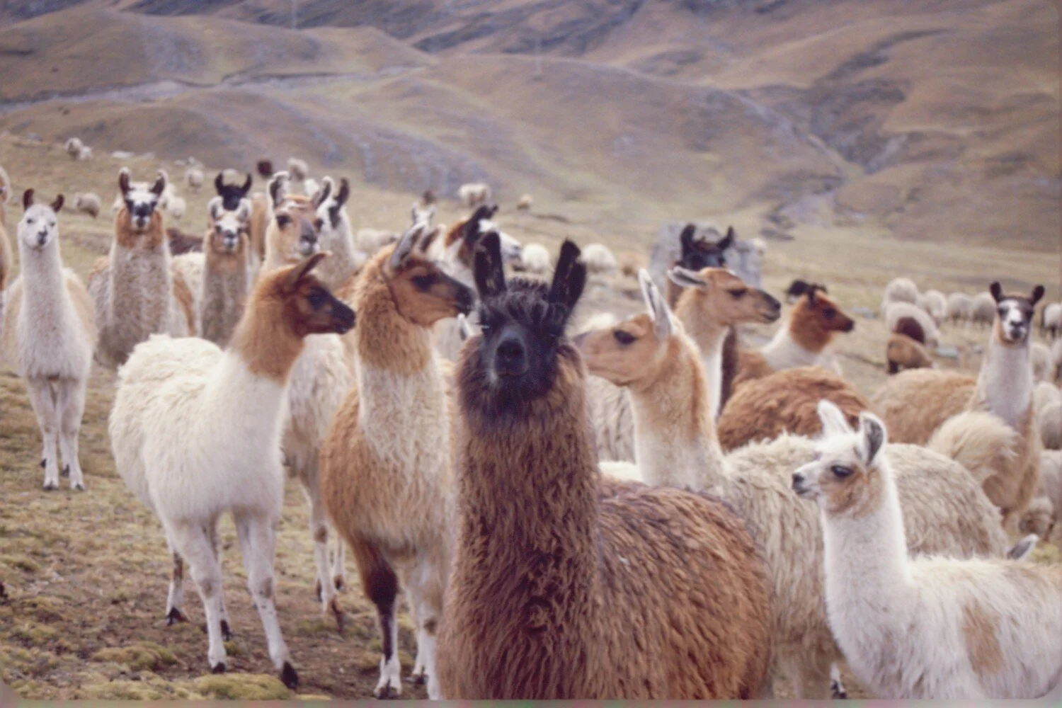 PHOTO 29 OF 37 9.jpeg